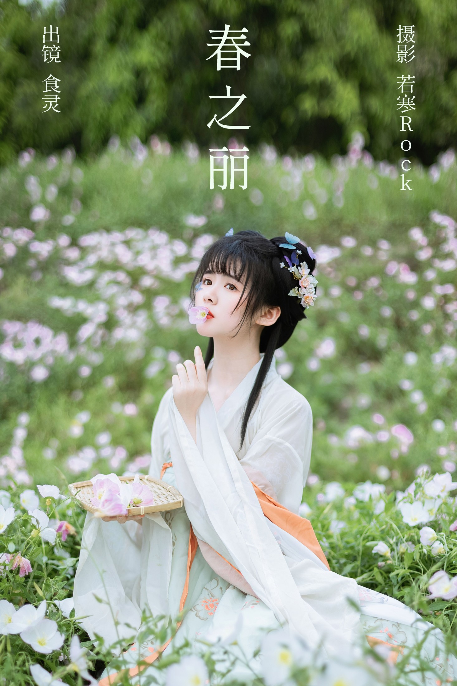 春之丽