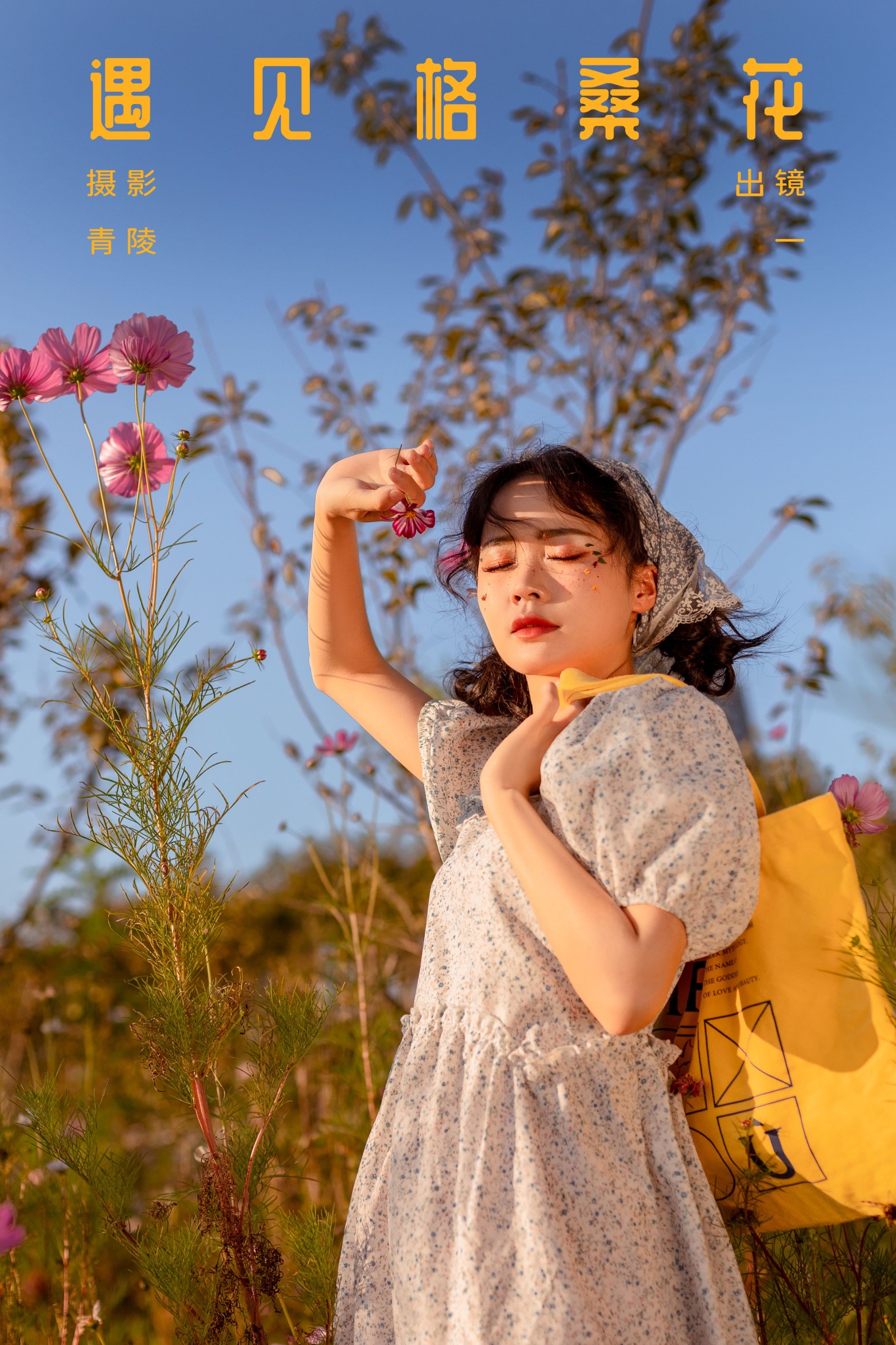 遇见格桑花