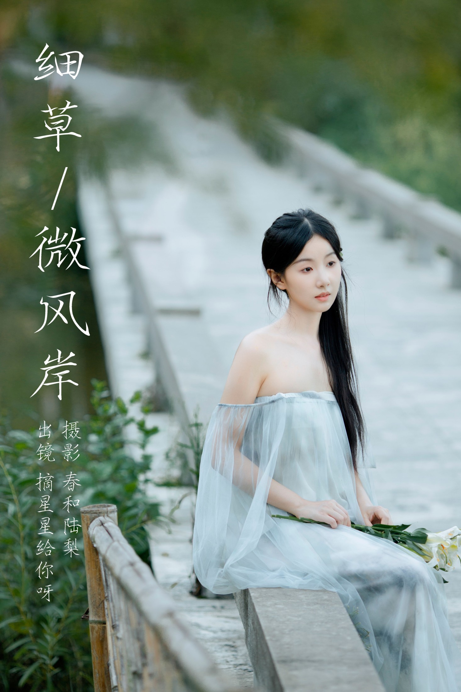 细草微风岸