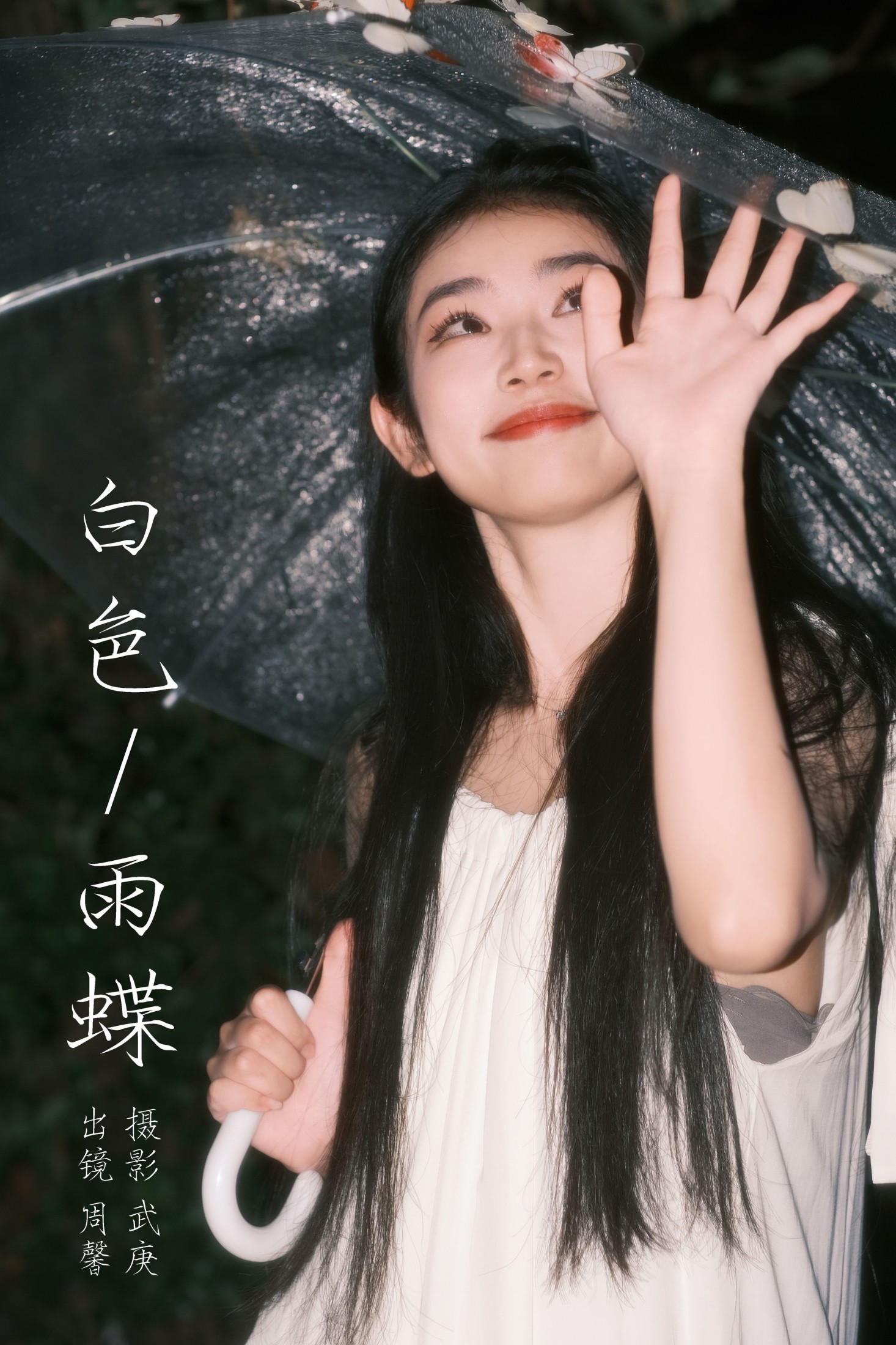白色雨蝶