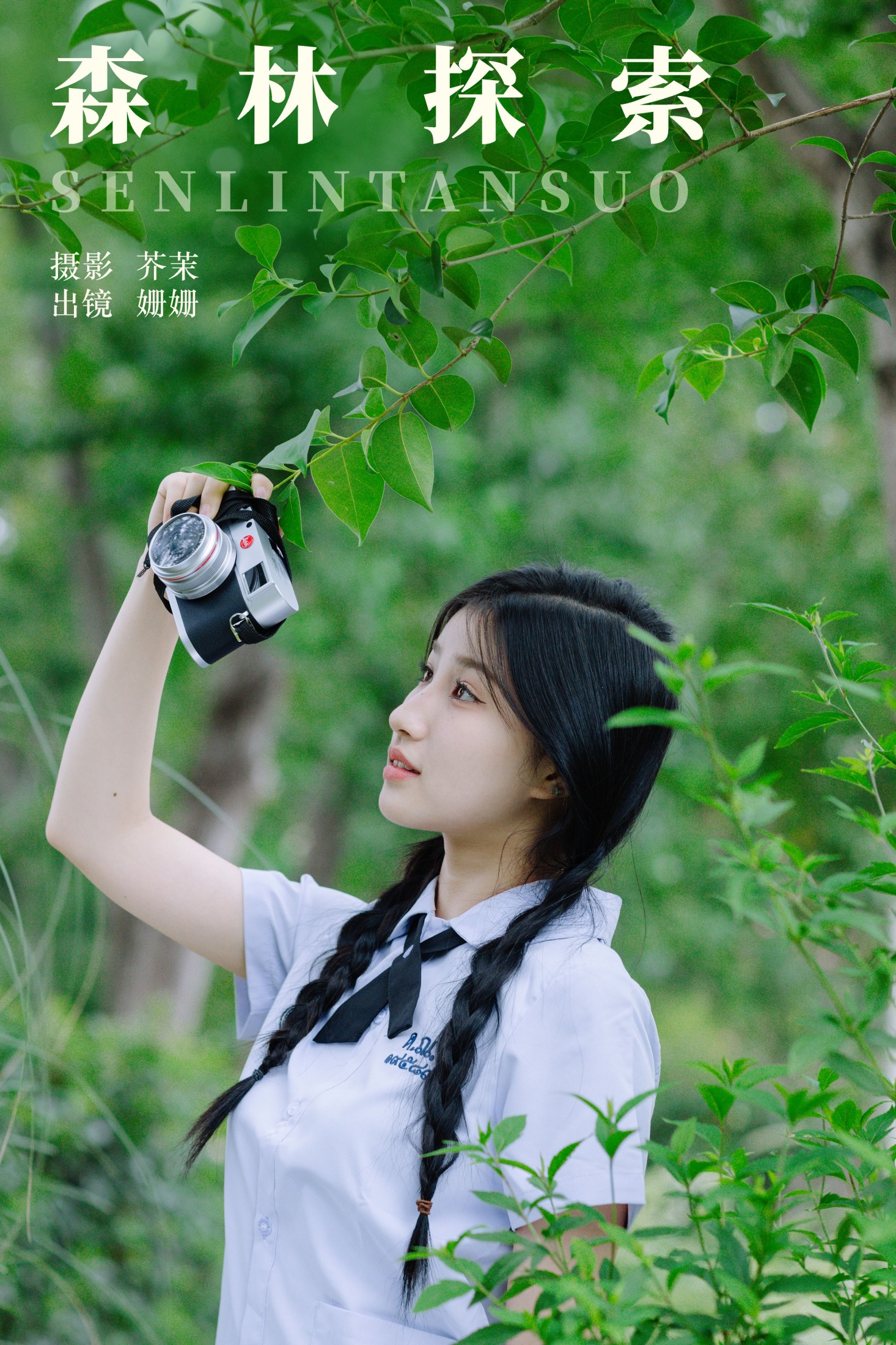 森林探索