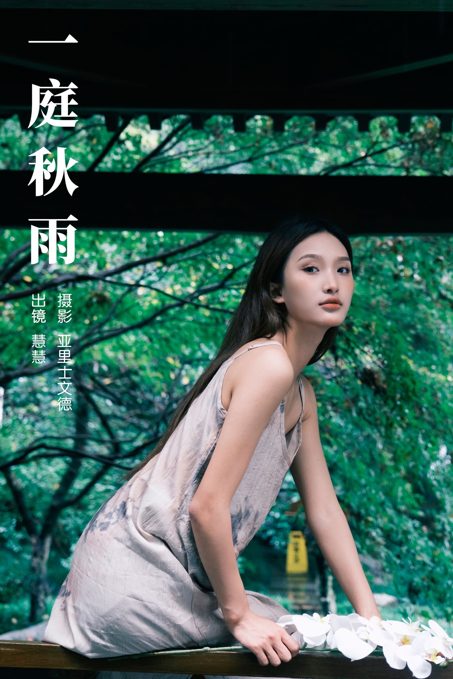 一庭秋雨
