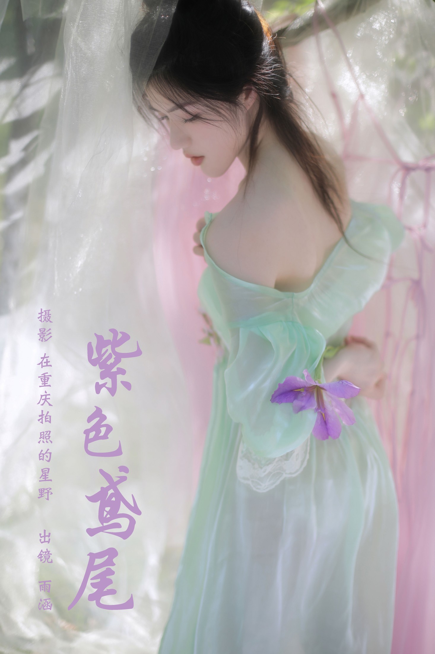 紫色鸢尾