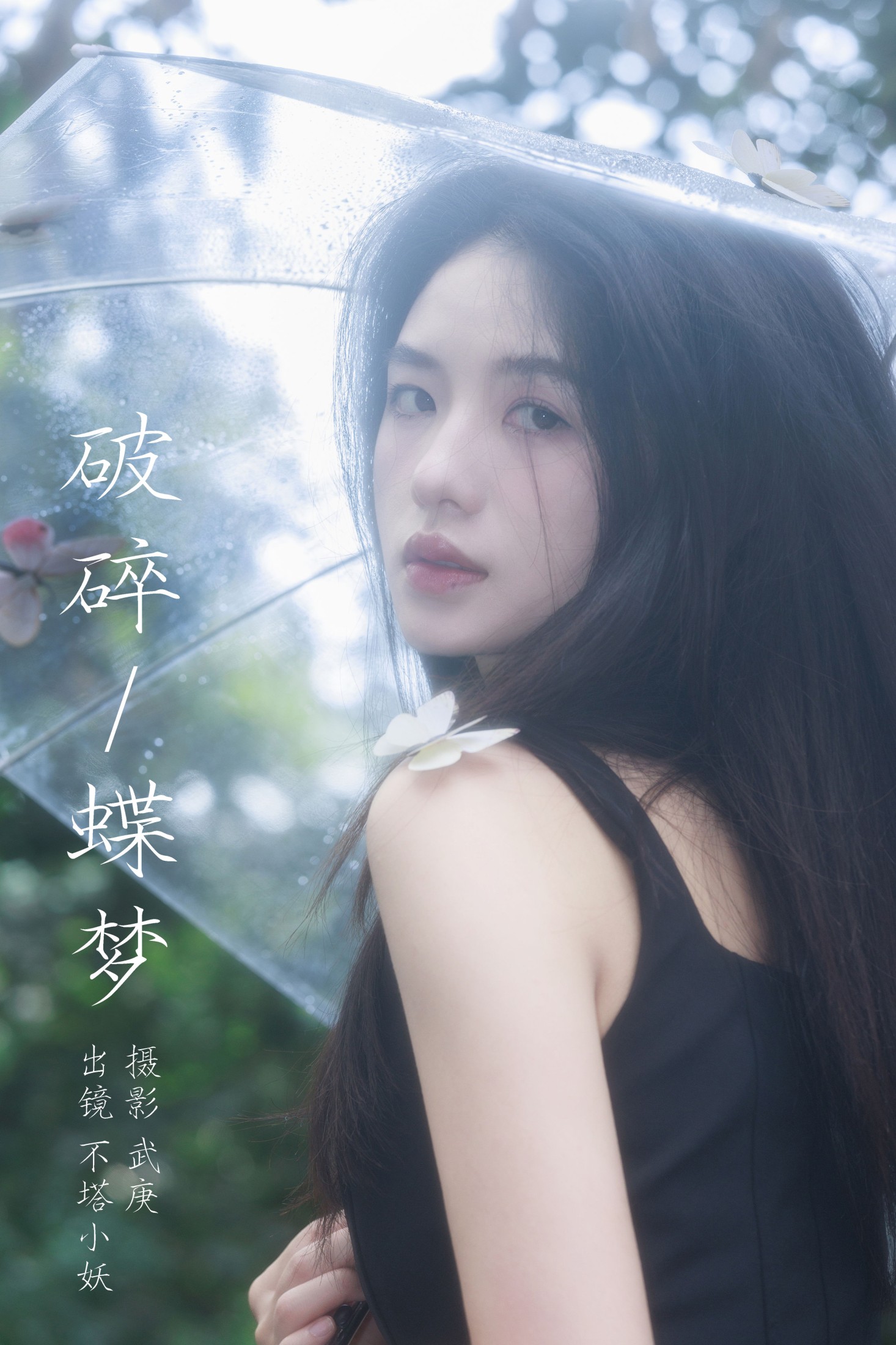 破碎蝶梦