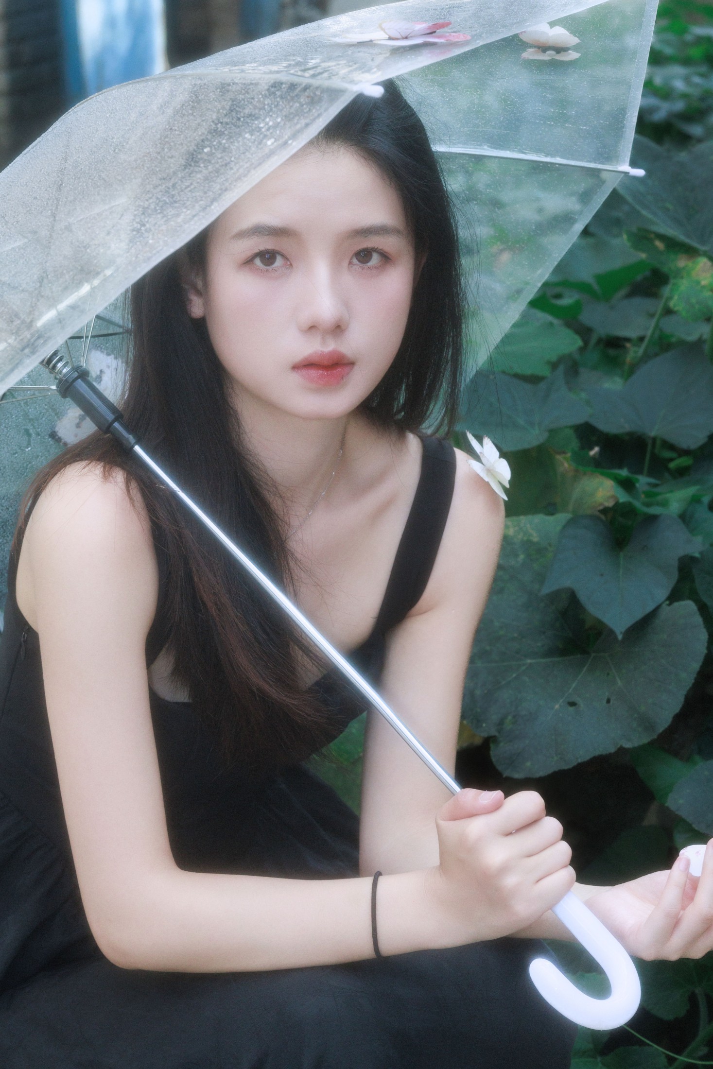 不搭小妖 – 《破碎蝶梦》[29P]