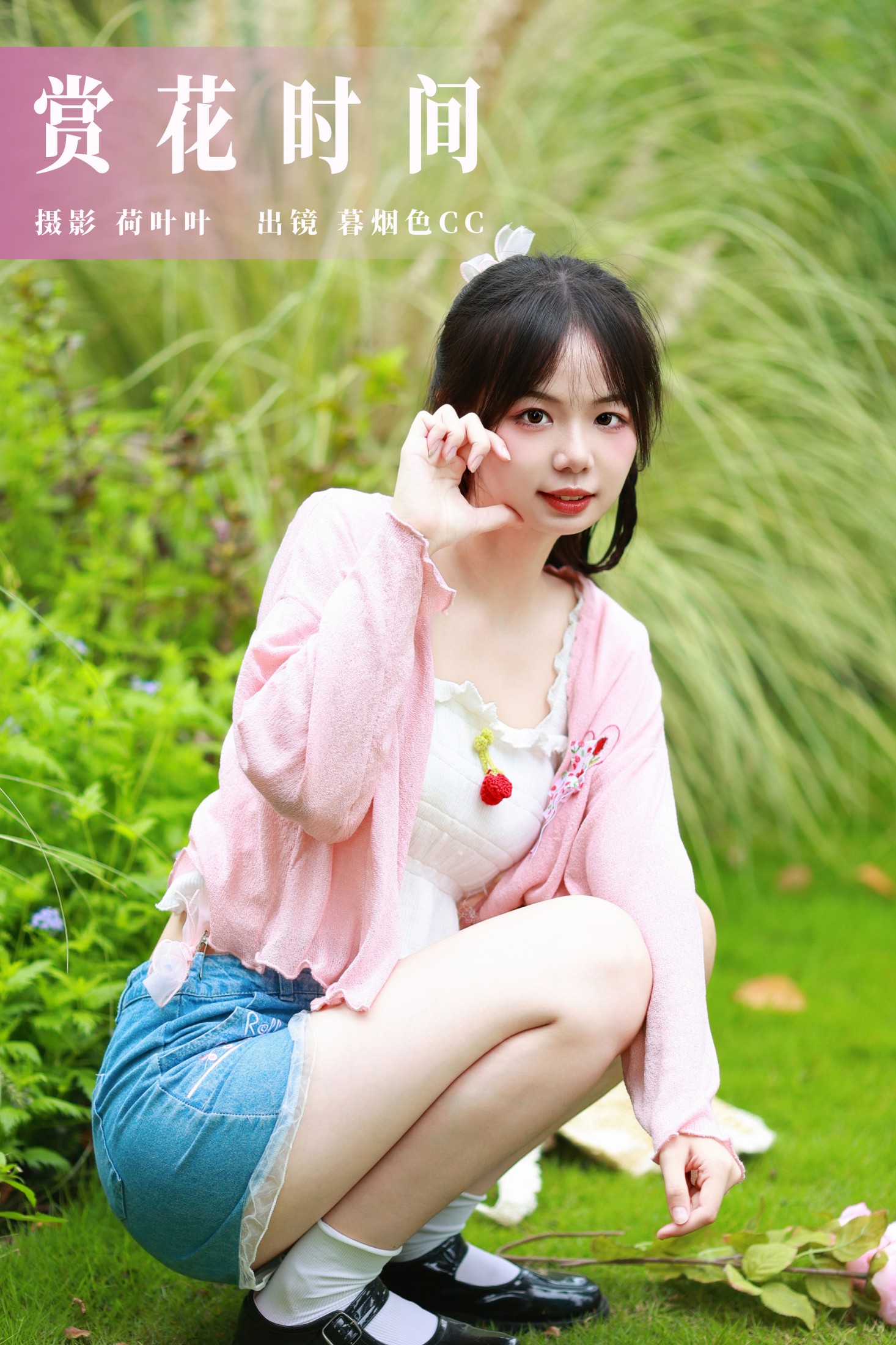 赏花时间