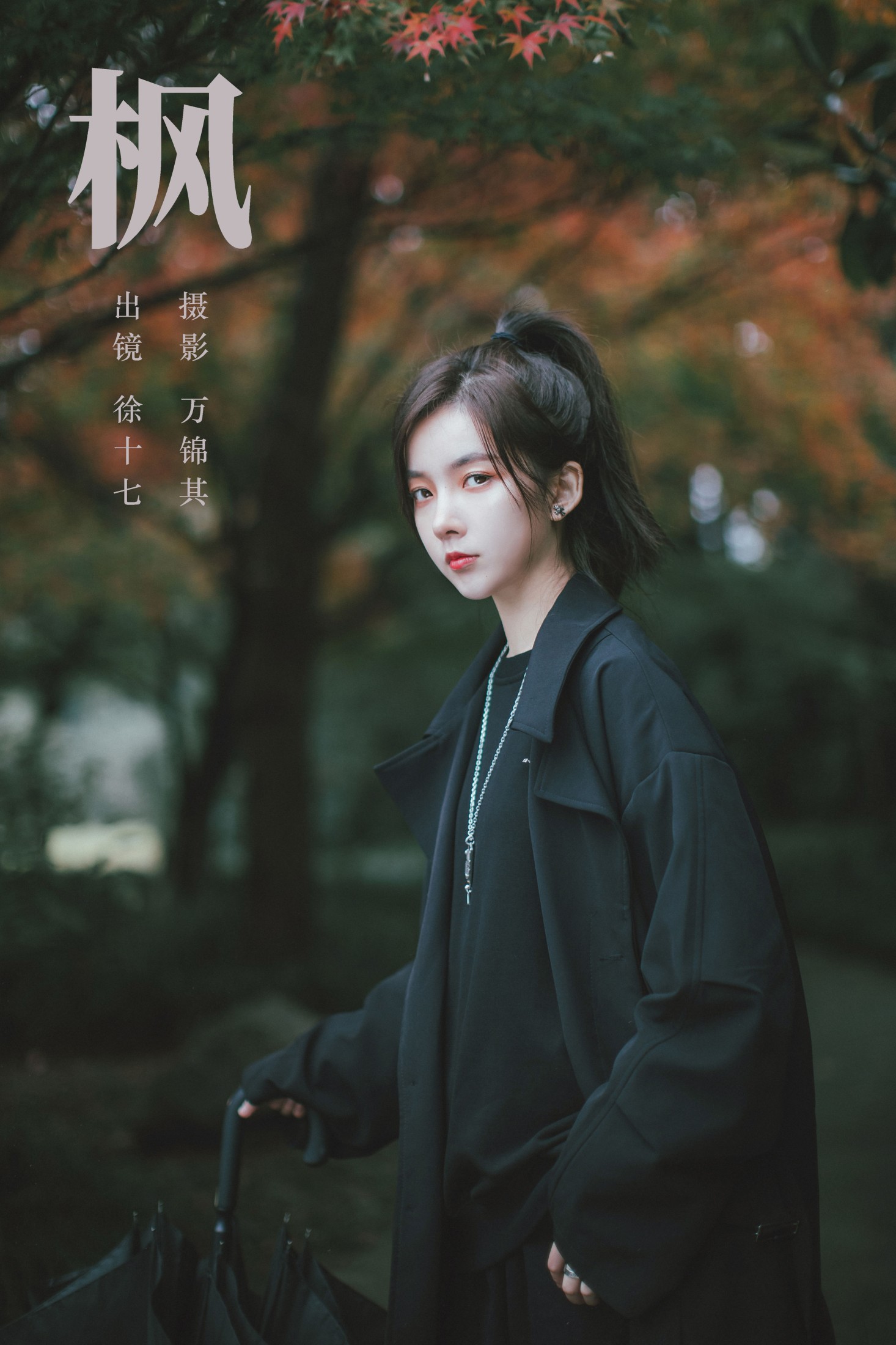 枫
