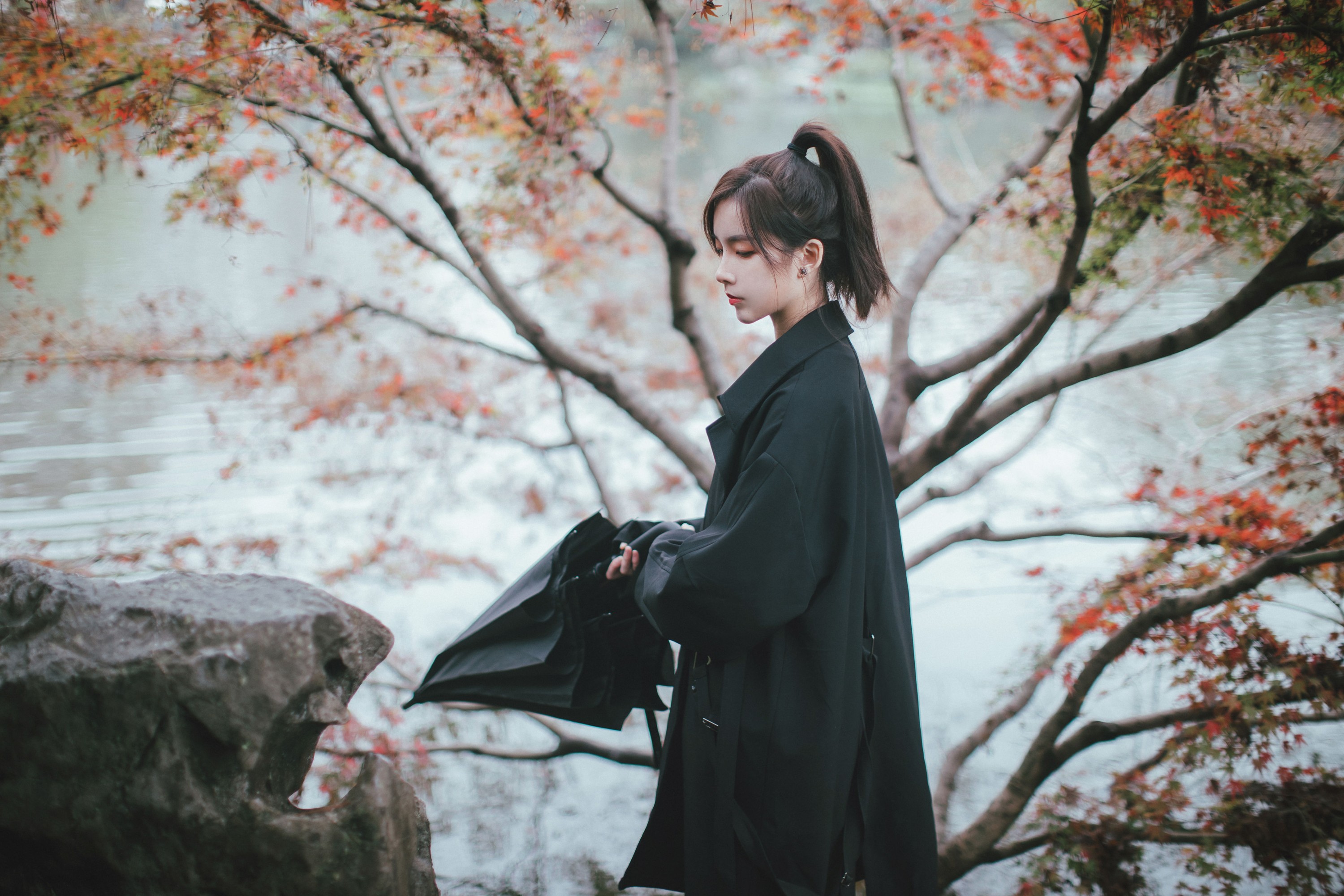 徐十七嘛 – 《枫》[22P]