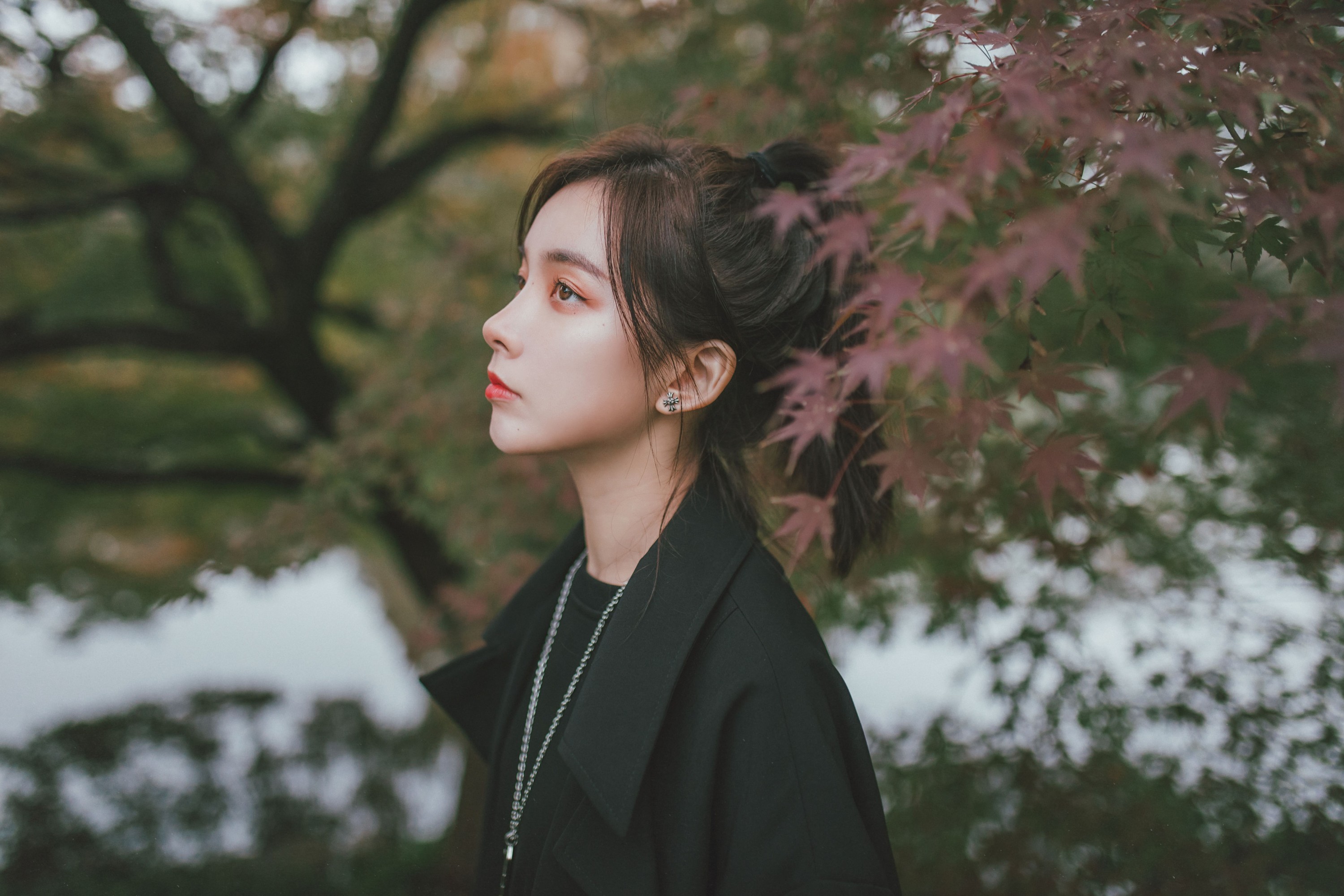 徐十七嘛 – 《枫》[22P]