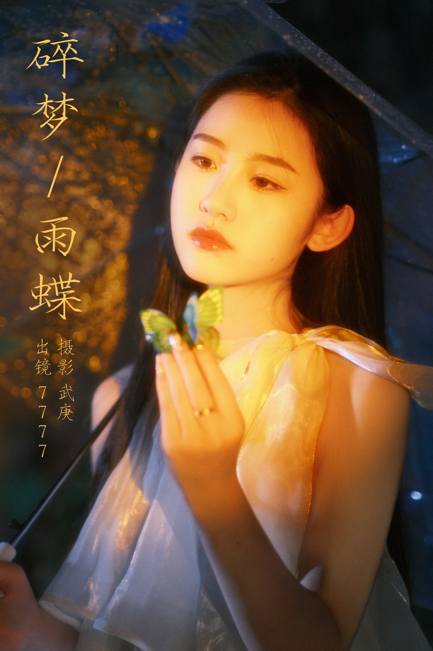 碎梦雨蝶