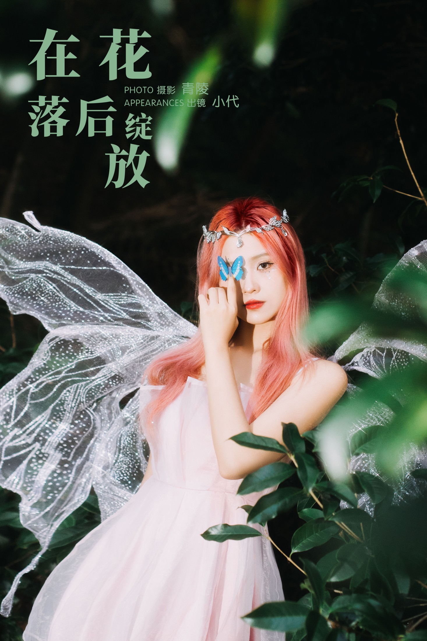 在花落后绽放