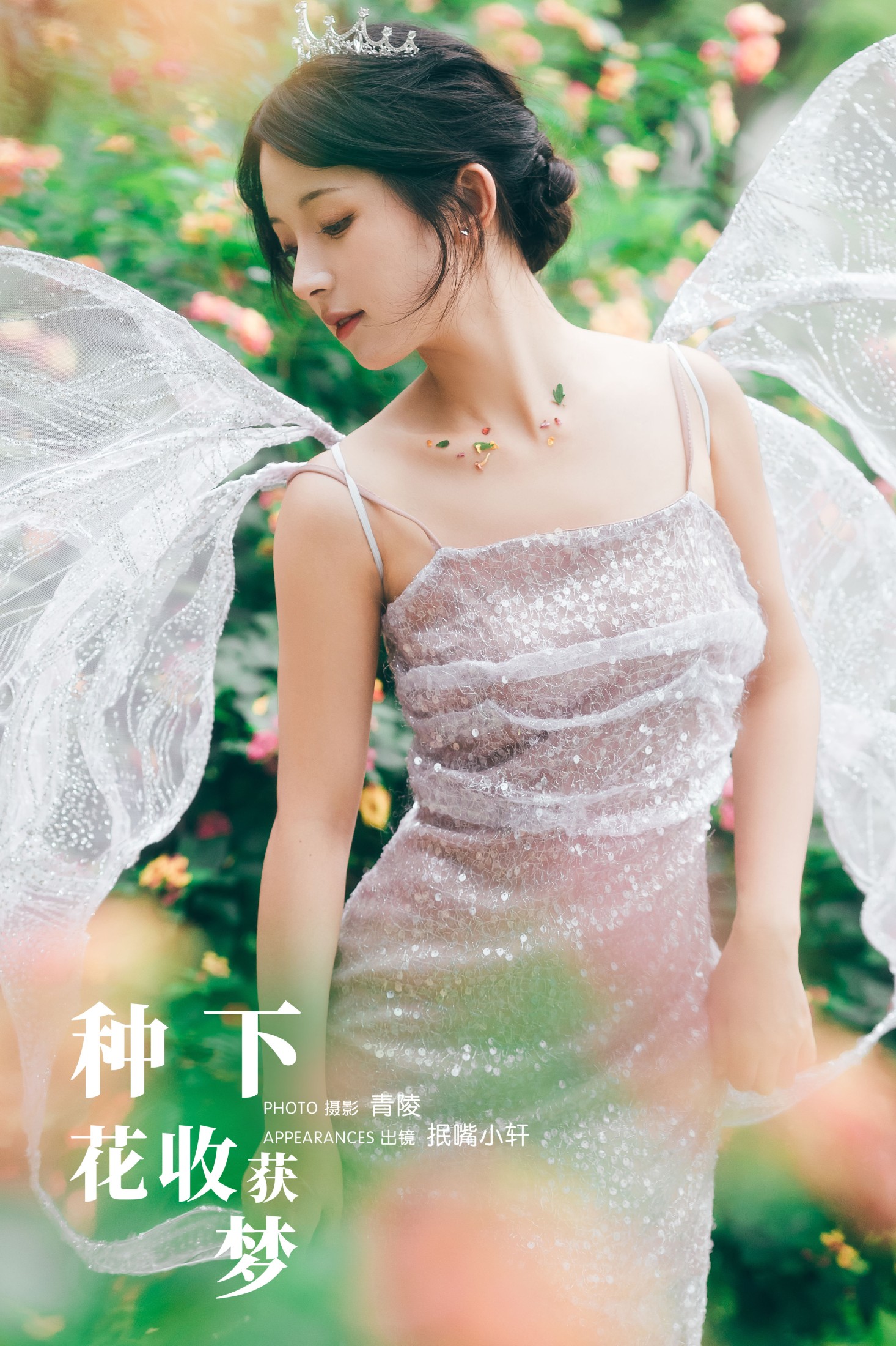 种下花,收获梦