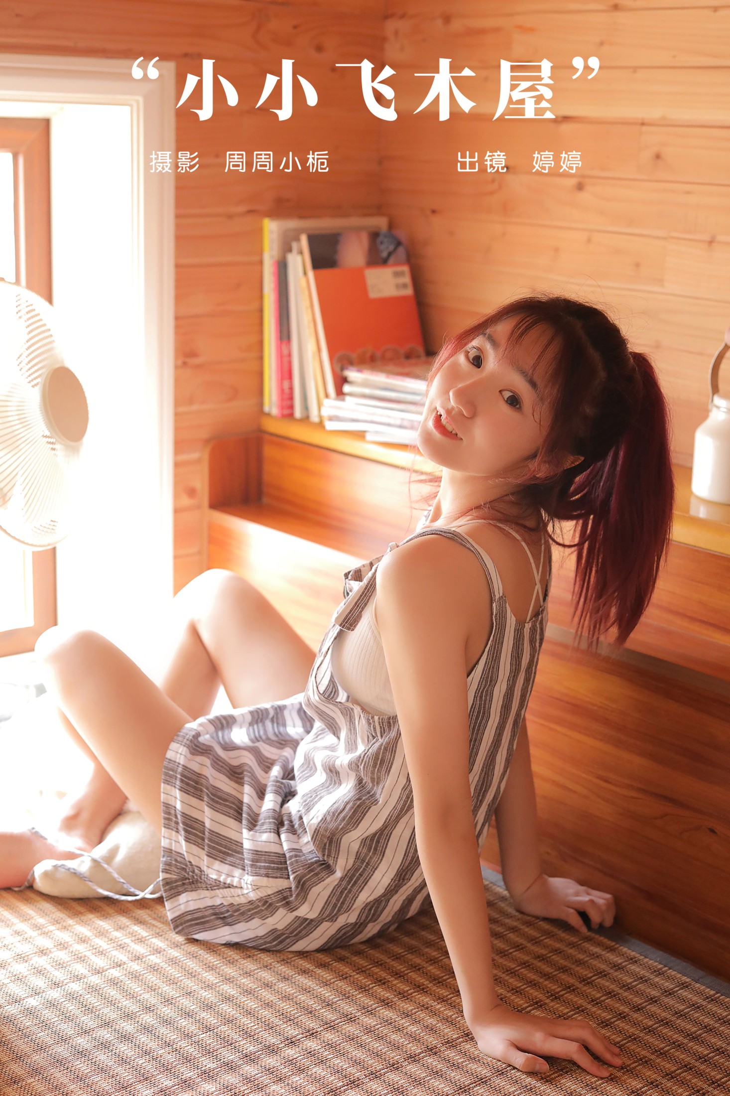 小小飞木屋