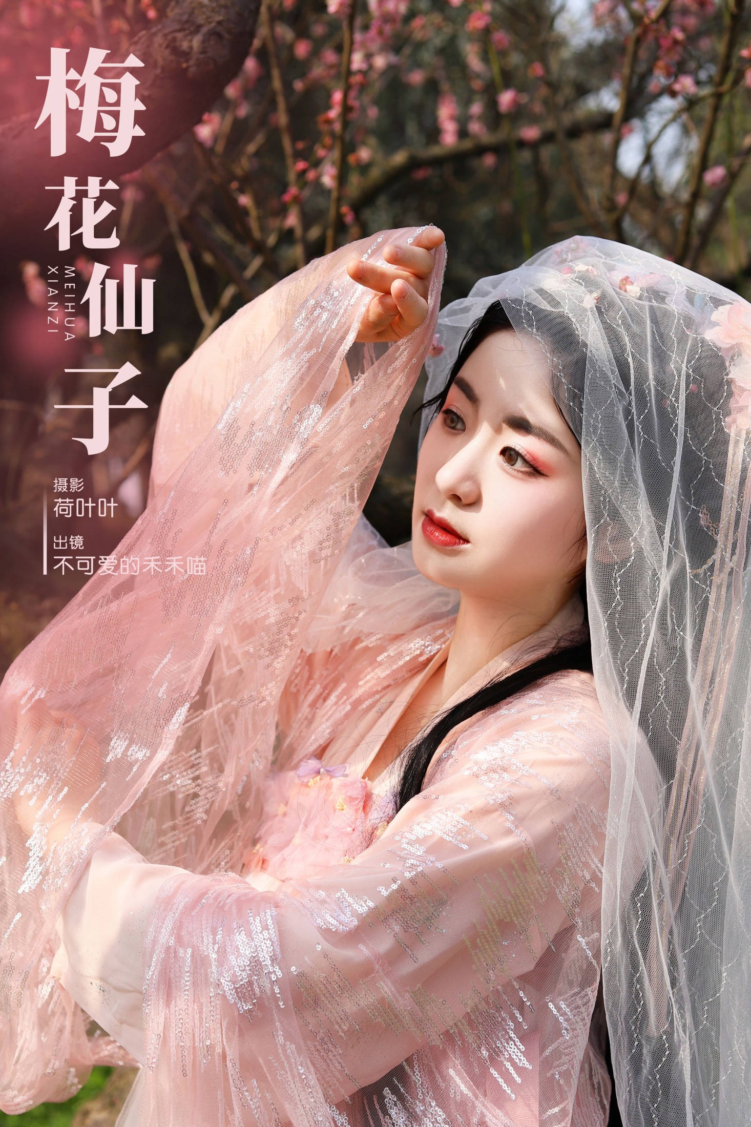 梅花仙子