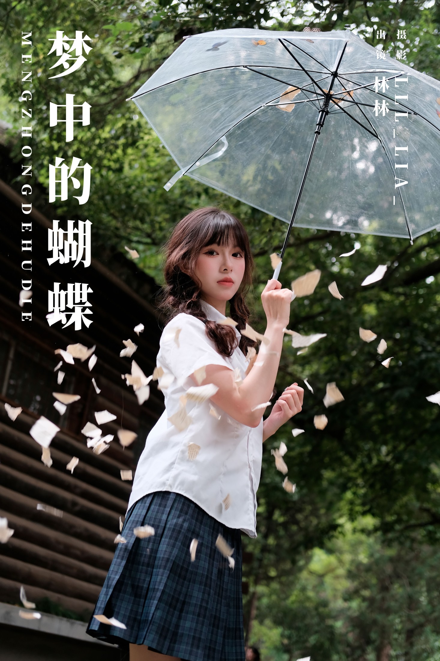 梦中的蝴蝶