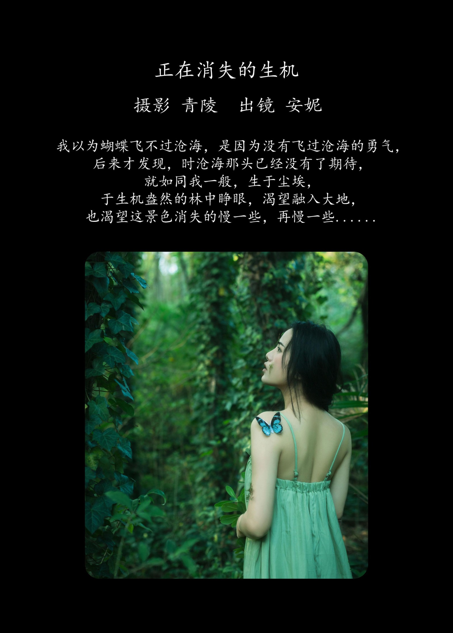 安妮 – 《正在消失的生机》[29P]