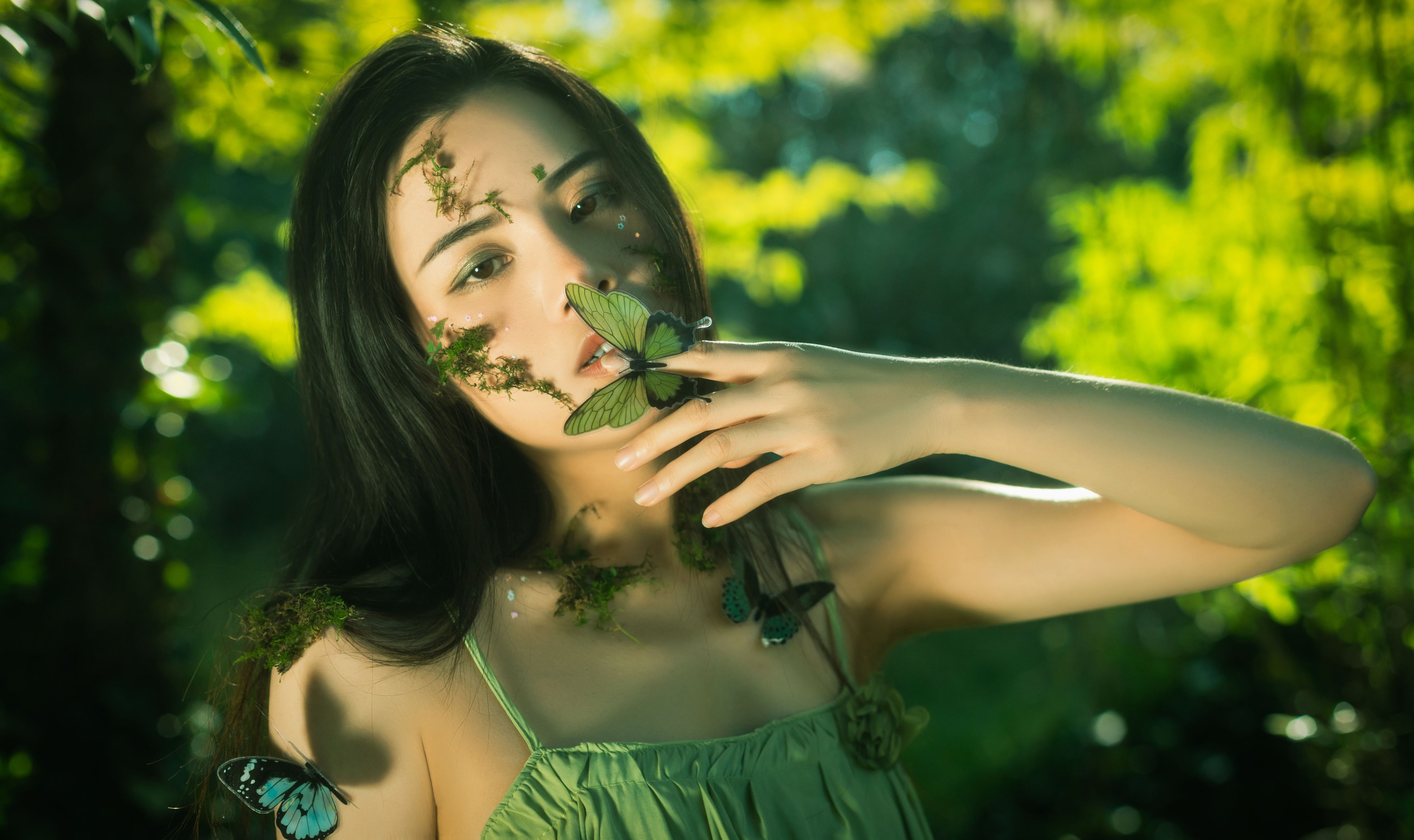 安妮 – 《正在消失的生机》[29P]