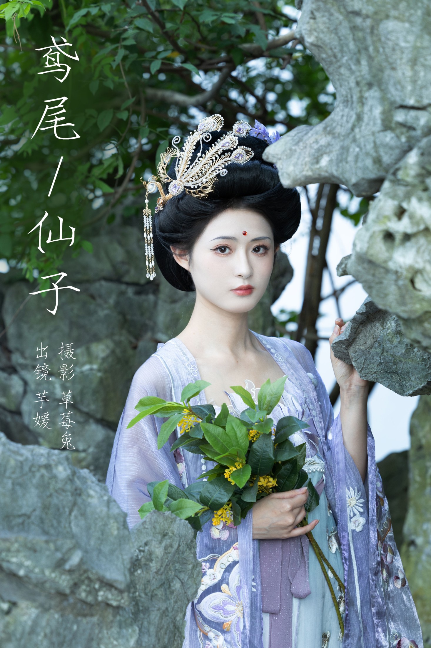 鸢尾仙子