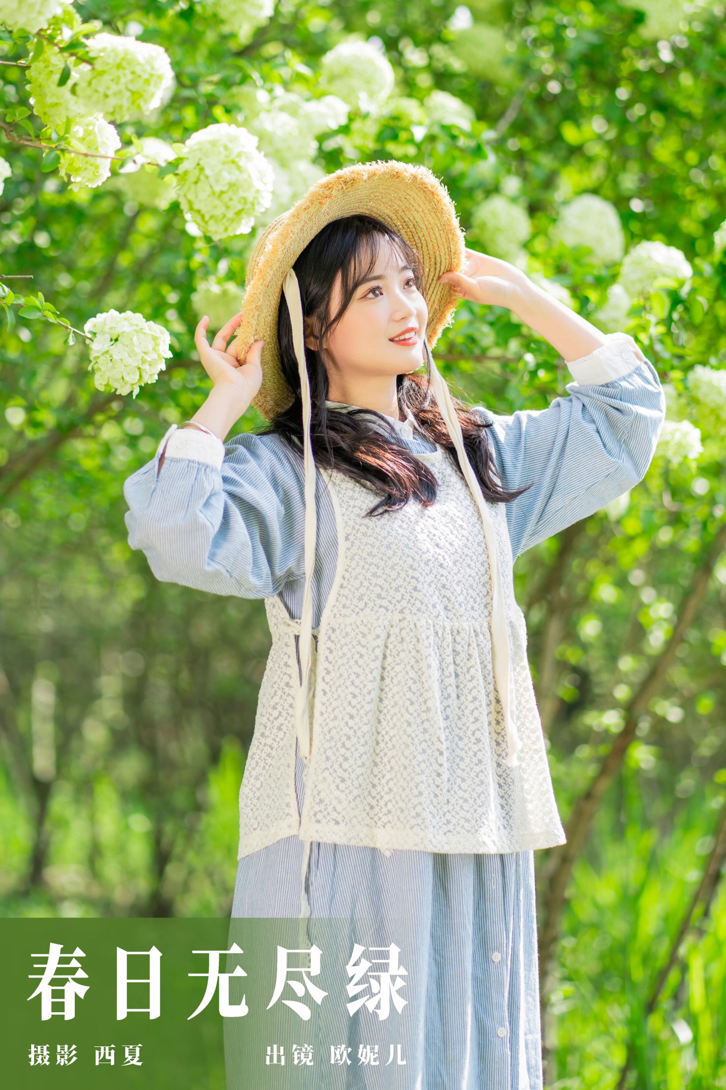 春日无尽绿