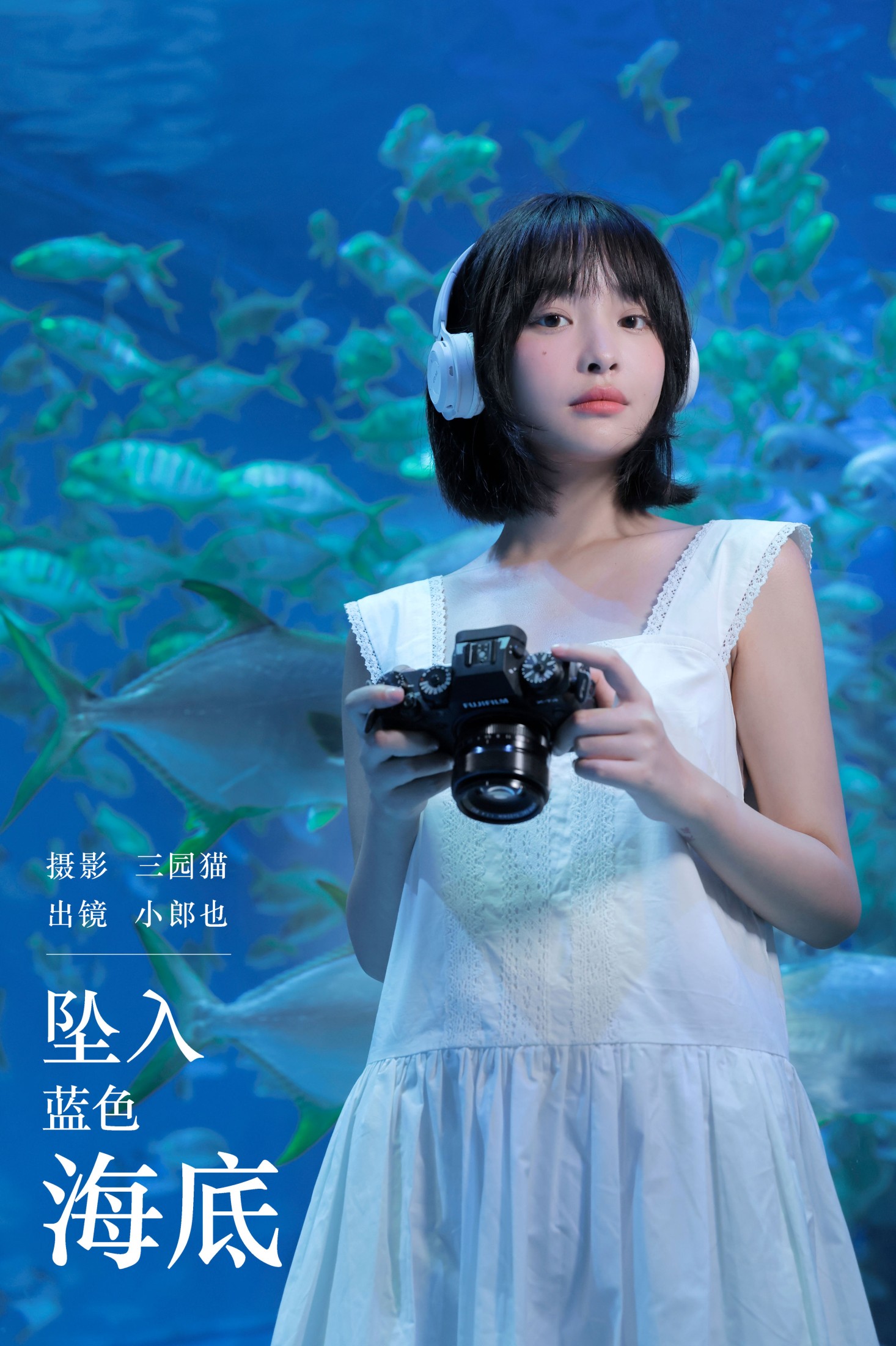 坠入蓝色海底