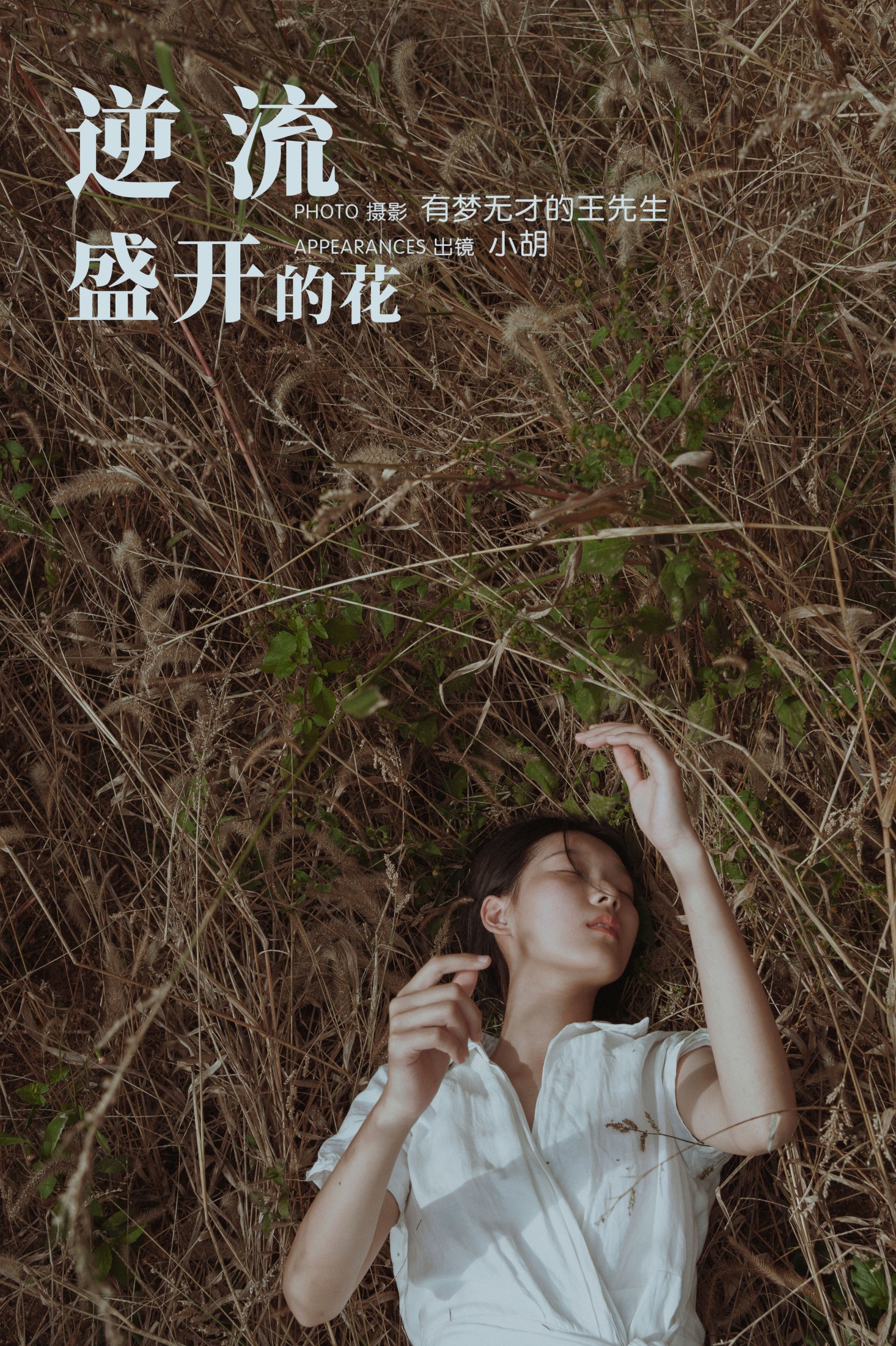 逆流盛开的花