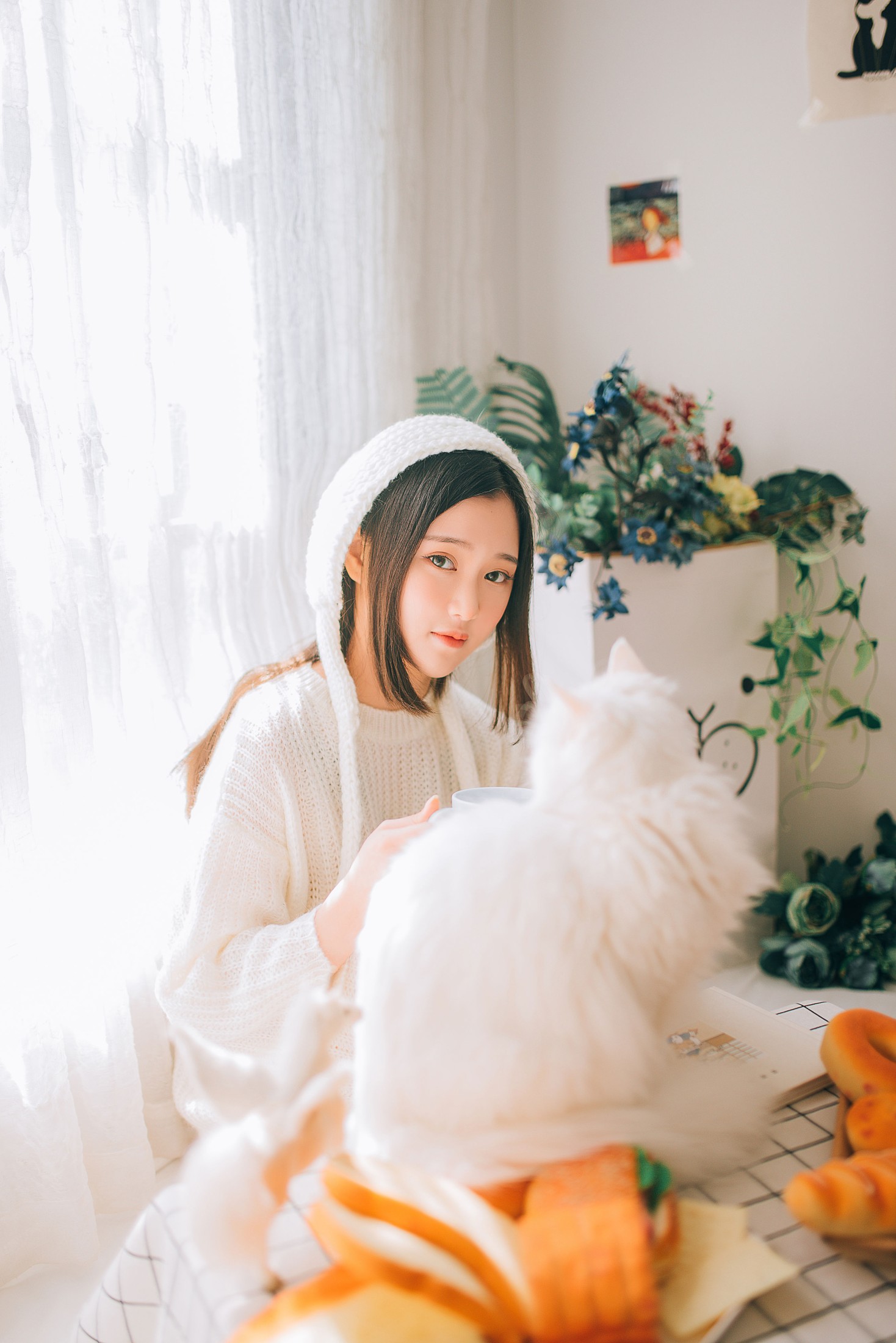格格 – 《阳光温暖，小猫温柔》[29P]