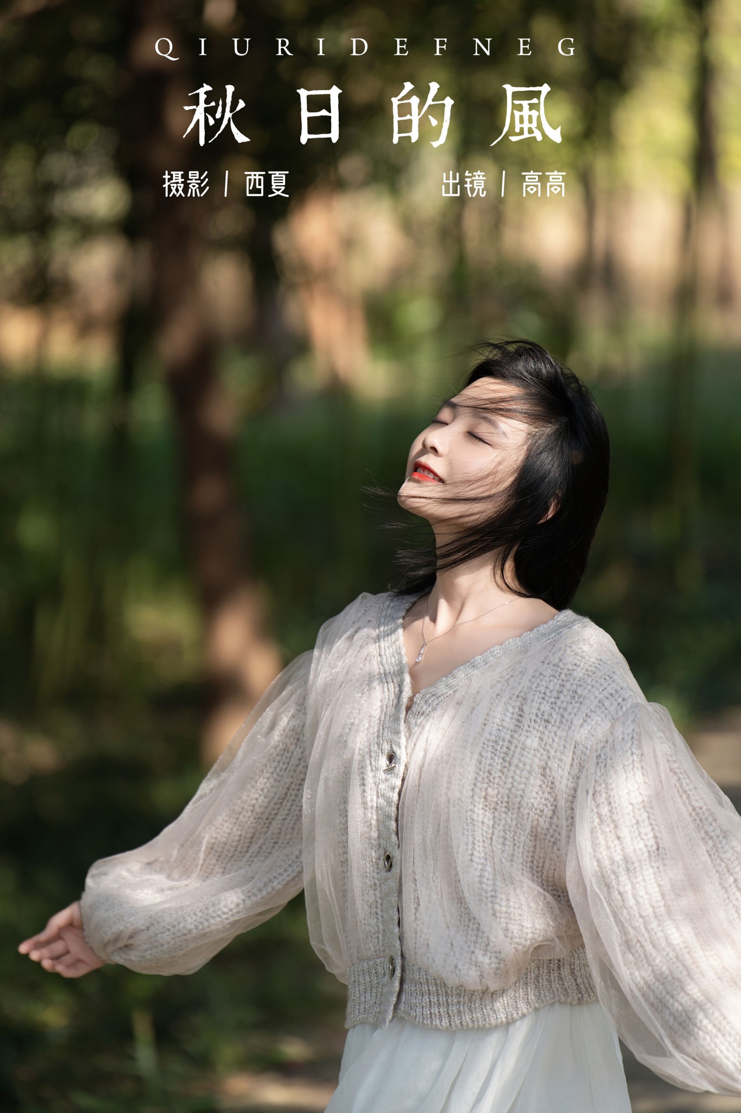 秋日的风
