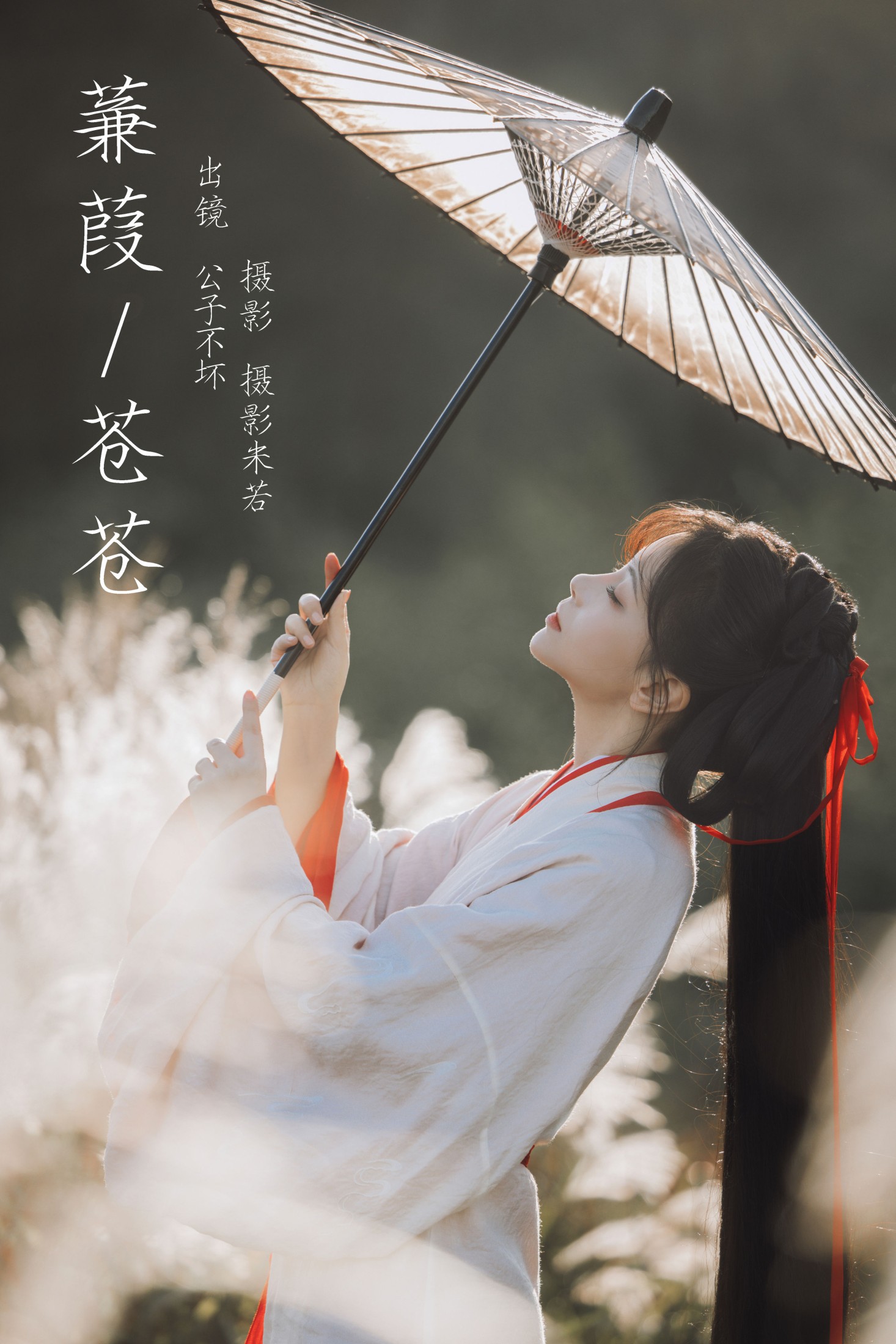 蒹葭苍苍