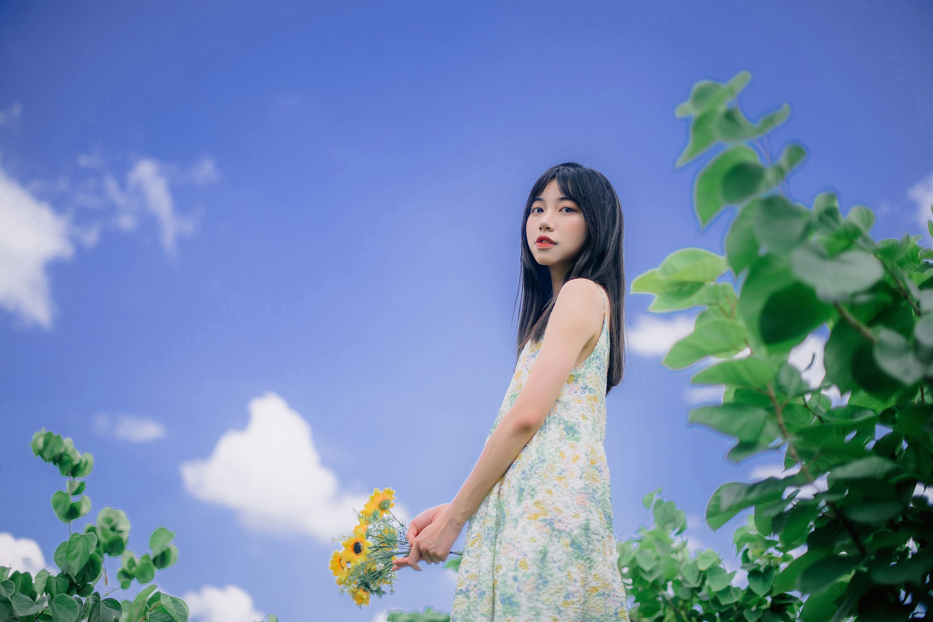 cmz – 《蝉鸣漏进夏末》[36P]