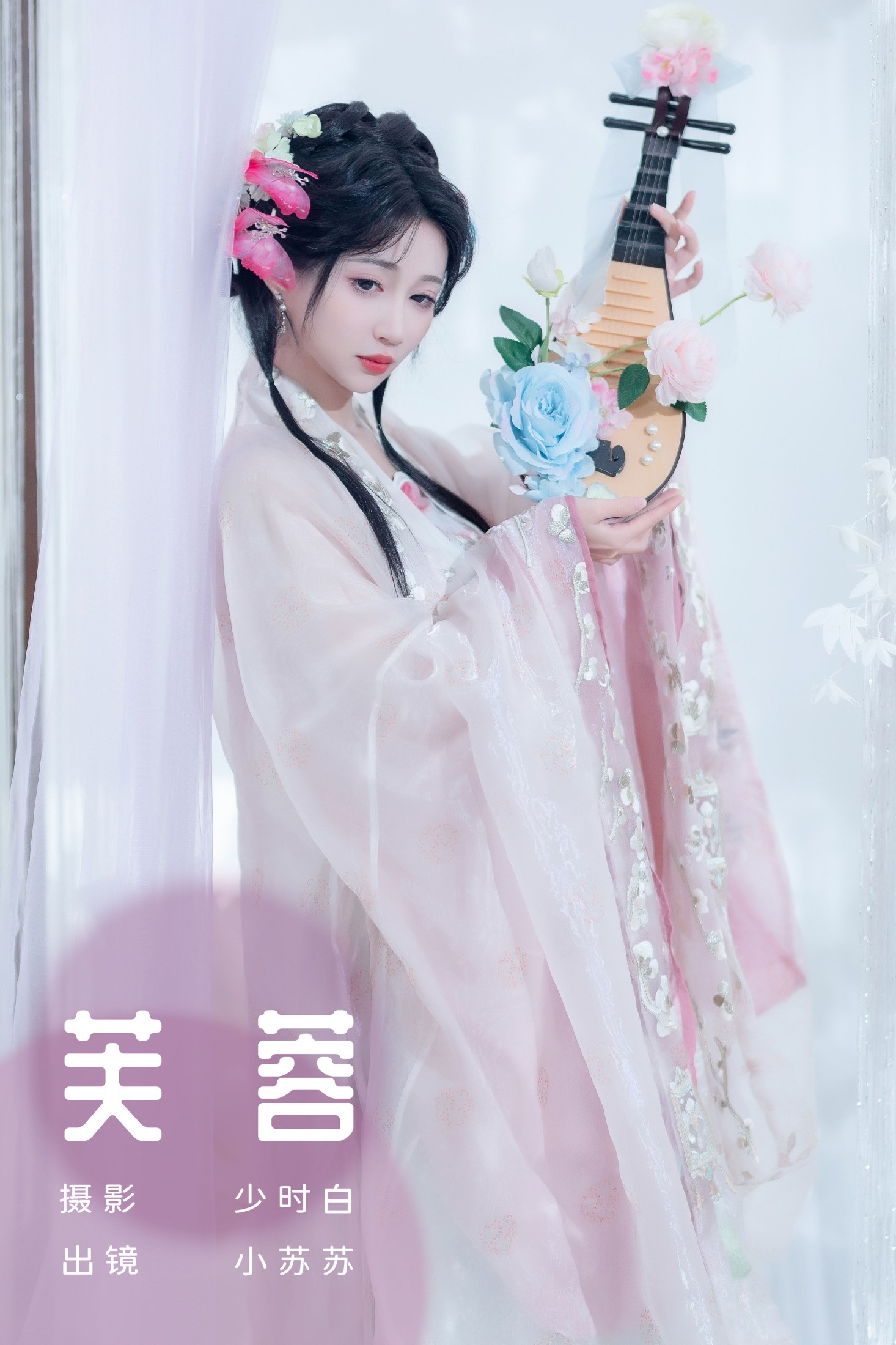 芙蓉