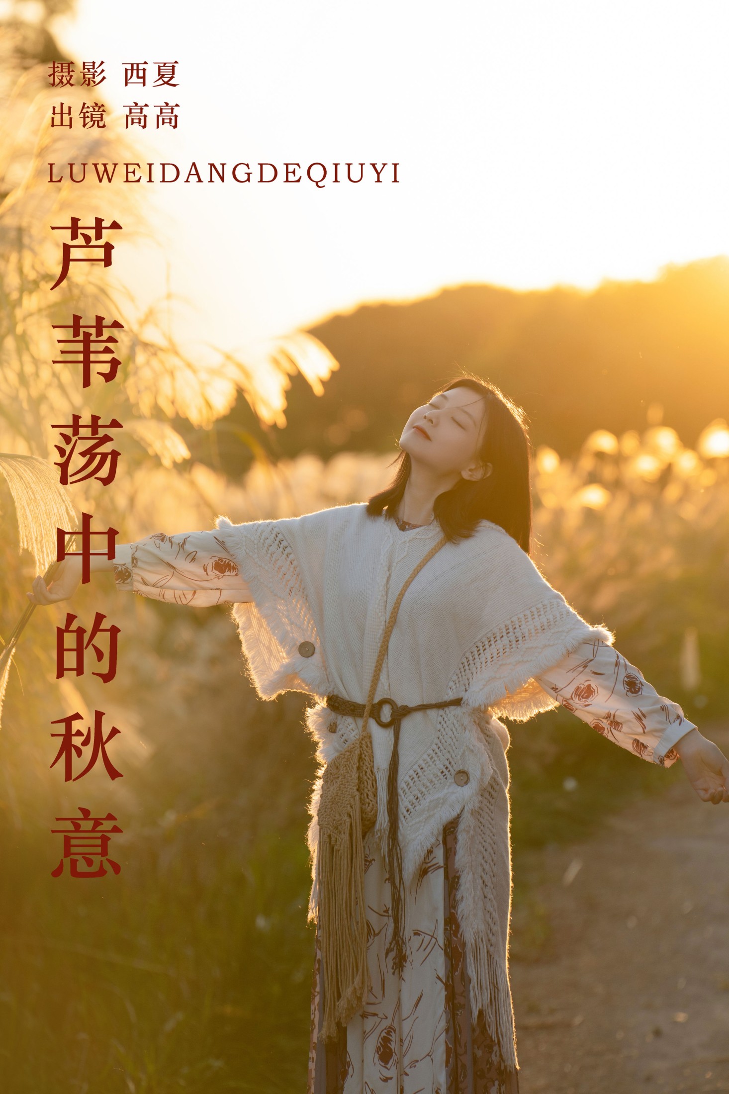 芦苇荡中的秋意
