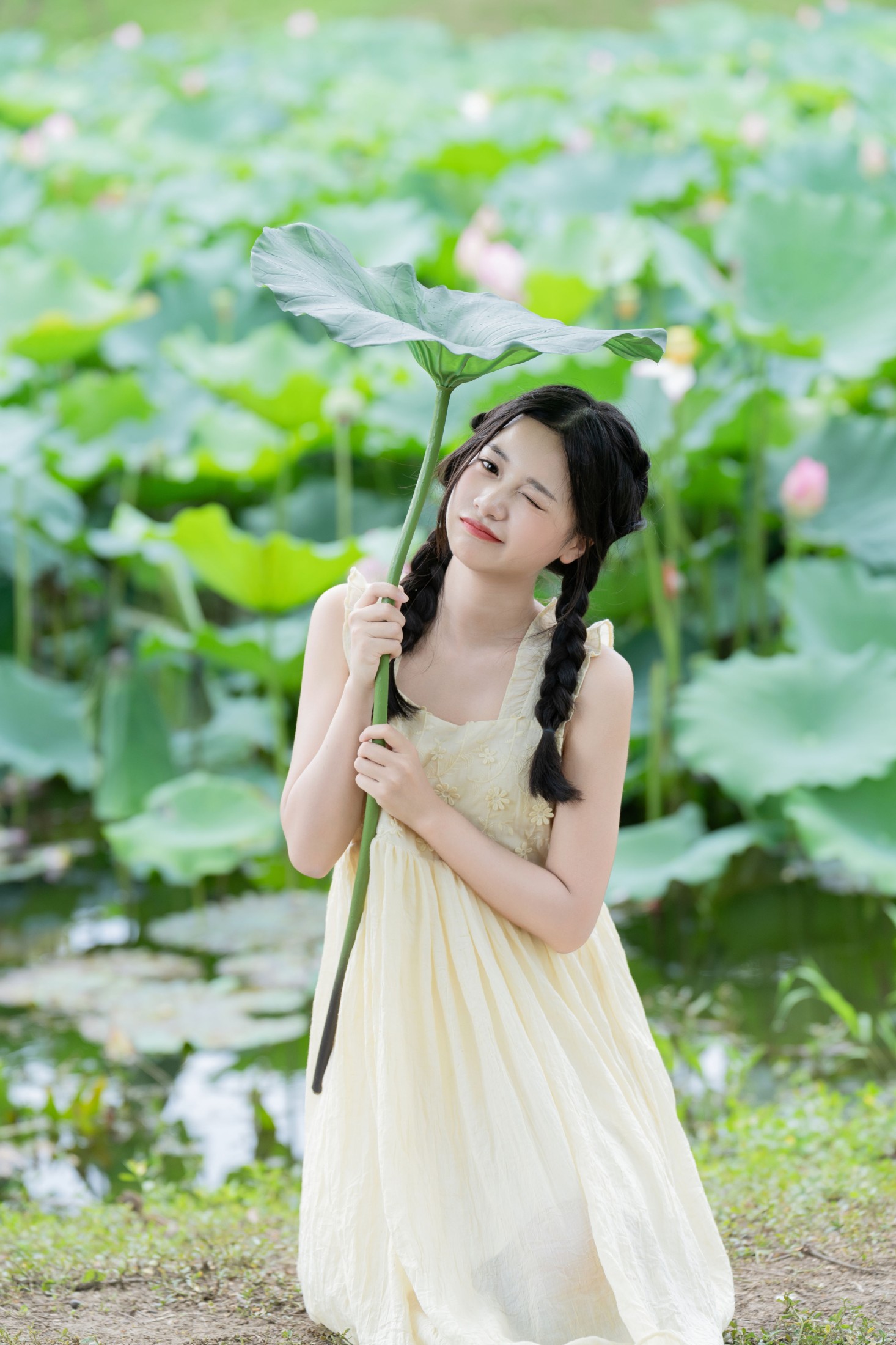 橙子舒 – 《炎炎夏日 荷花少女》[24P]