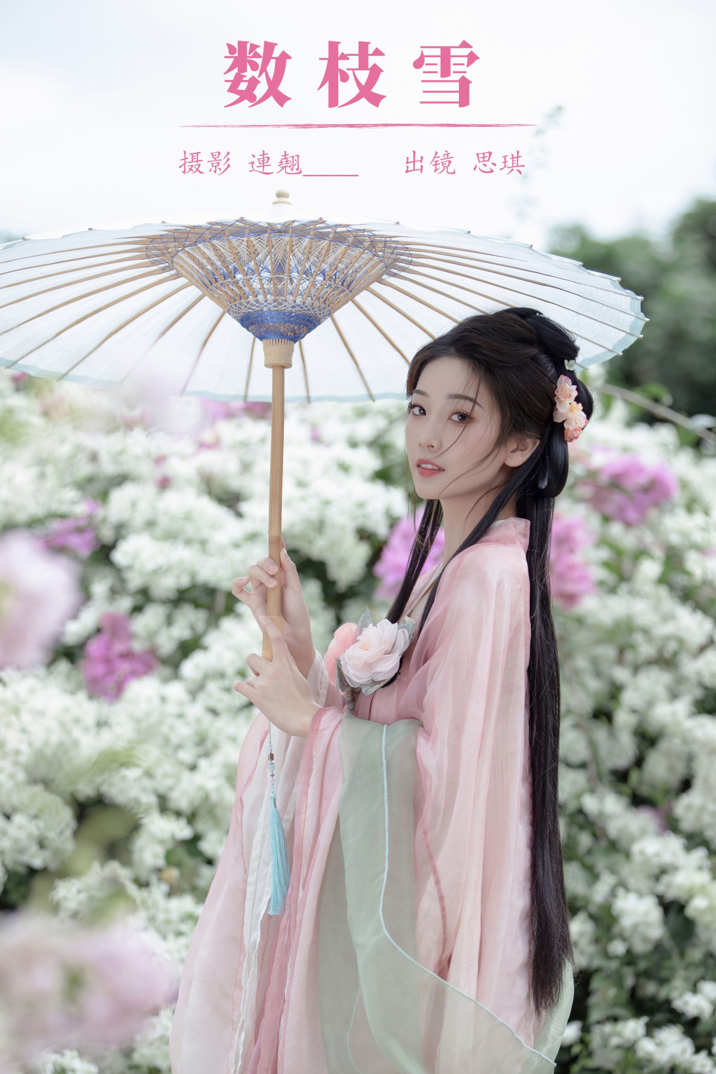 数枝雪