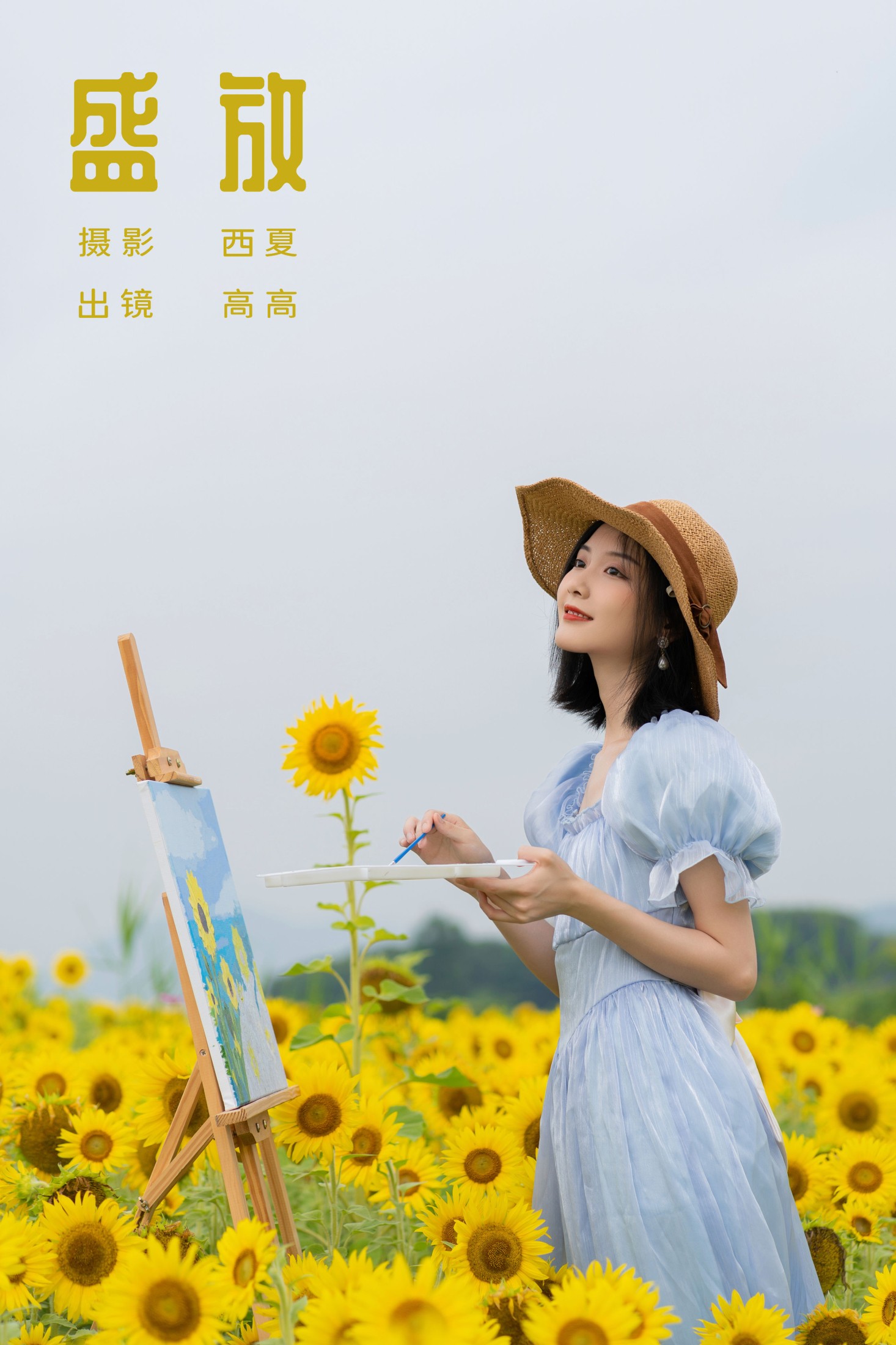 盛放