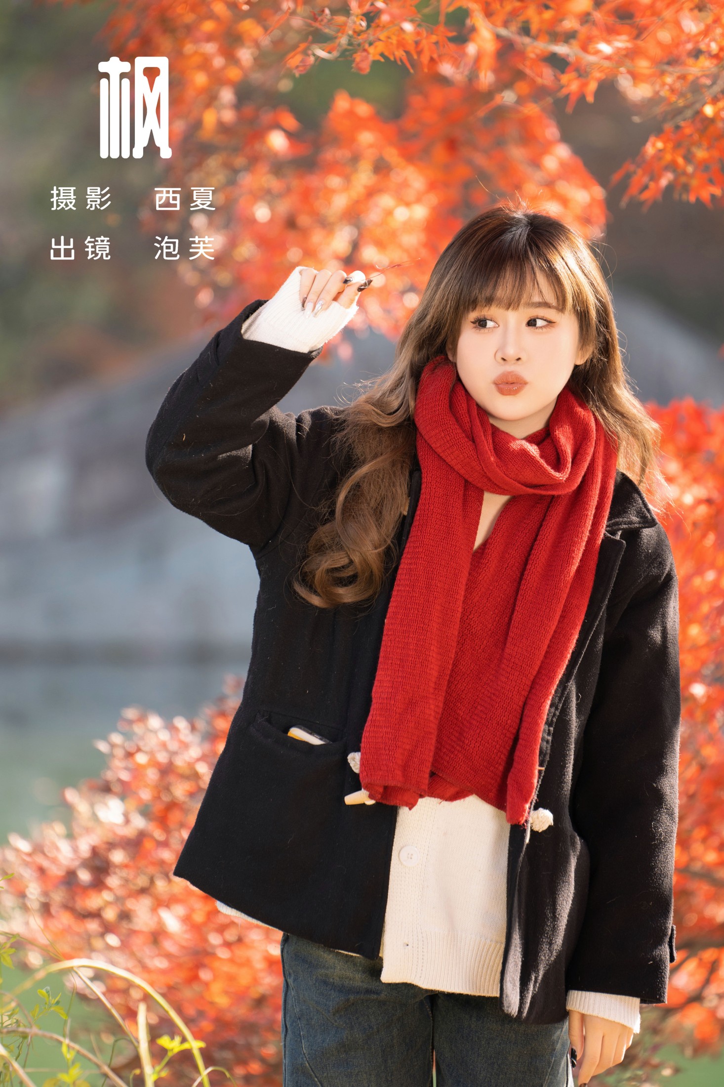 枫