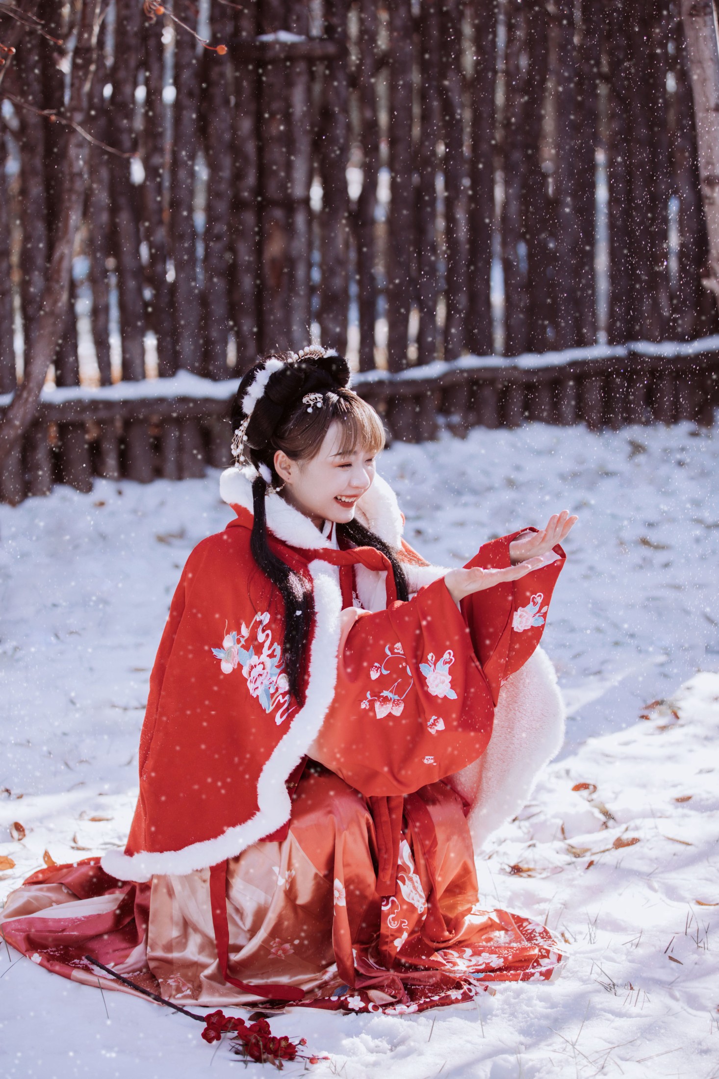 抱抱荔枝_ – 《千山暮雪 只影向谁去》[22P]