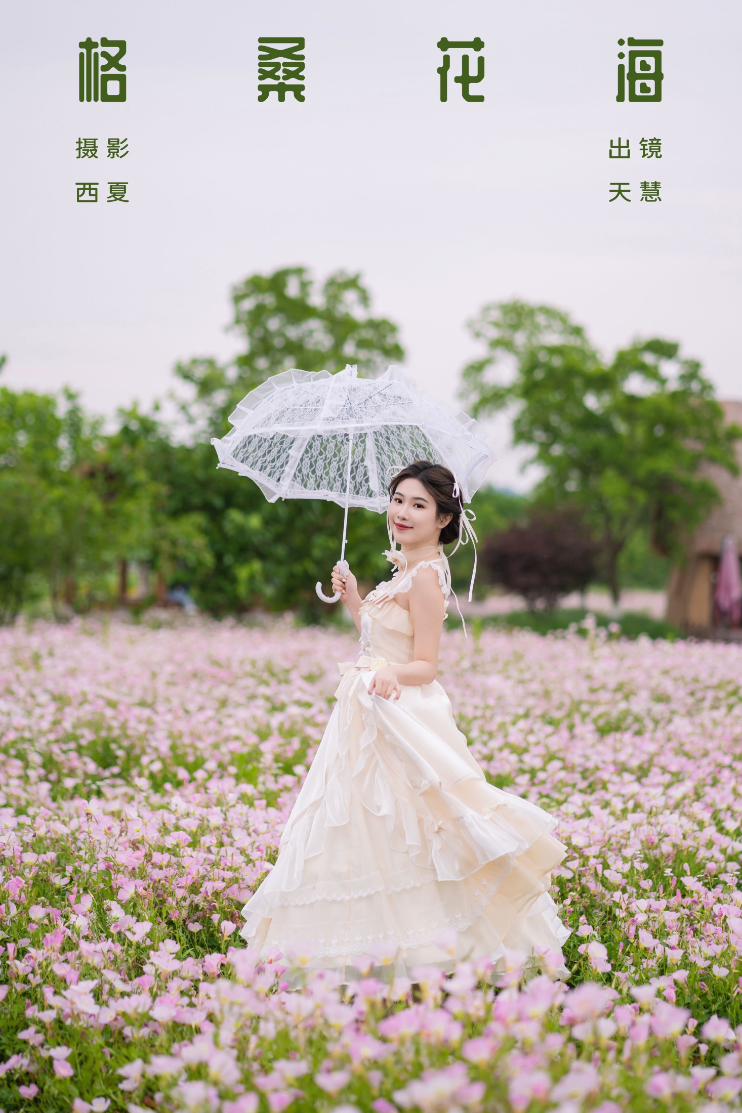 格桑花海