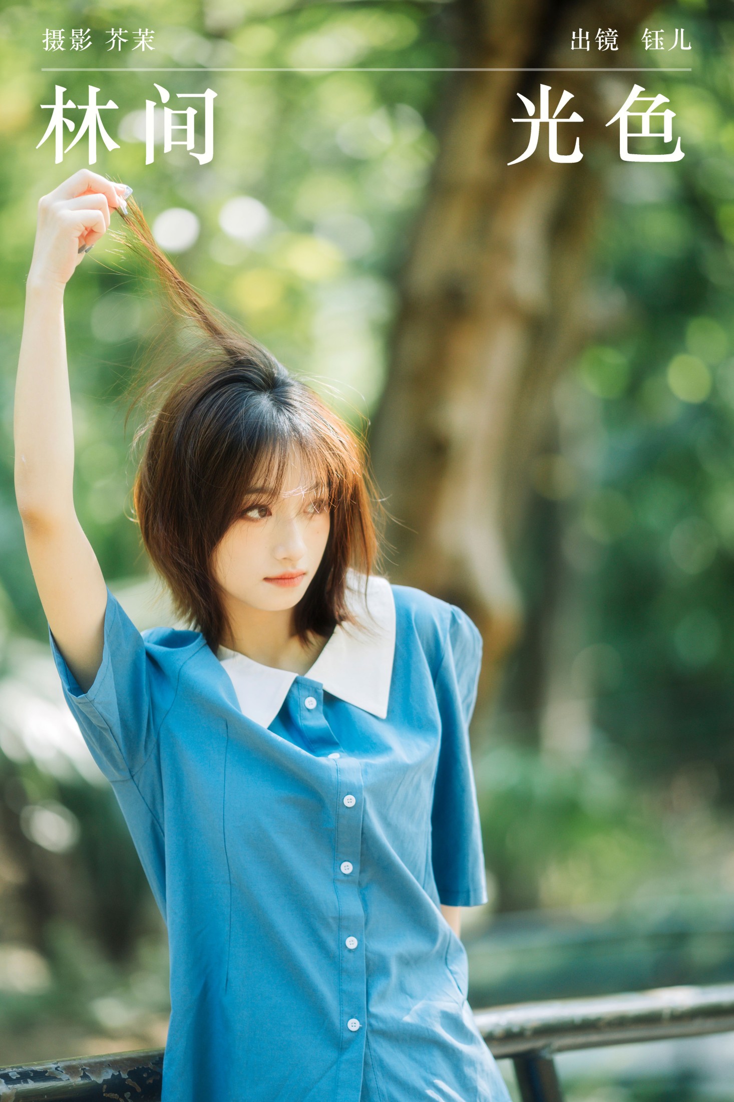 林间光色