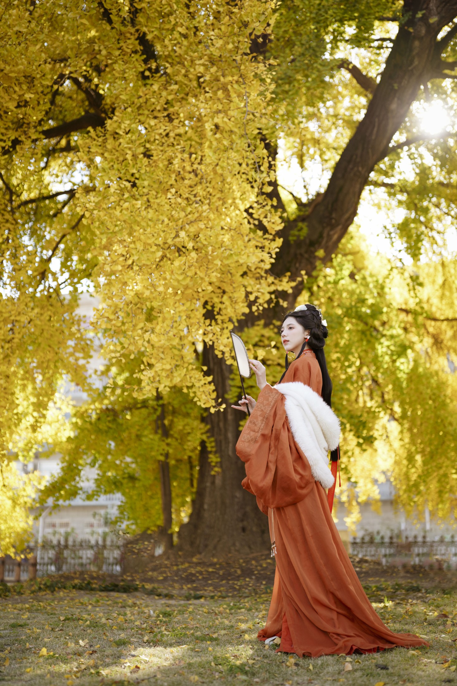 Enyyyn – 《深秋杏情》[31P]