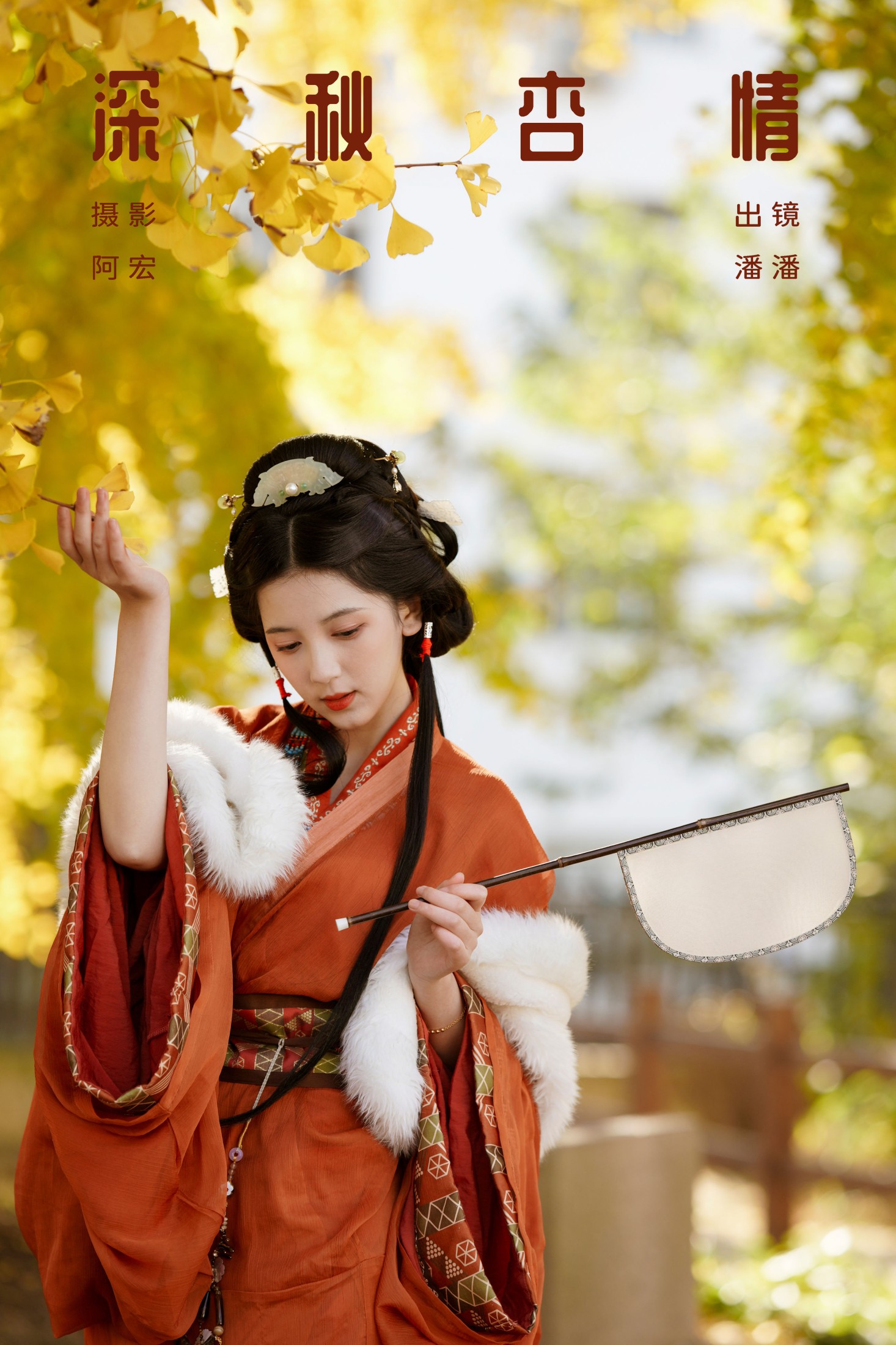 深秋杏情