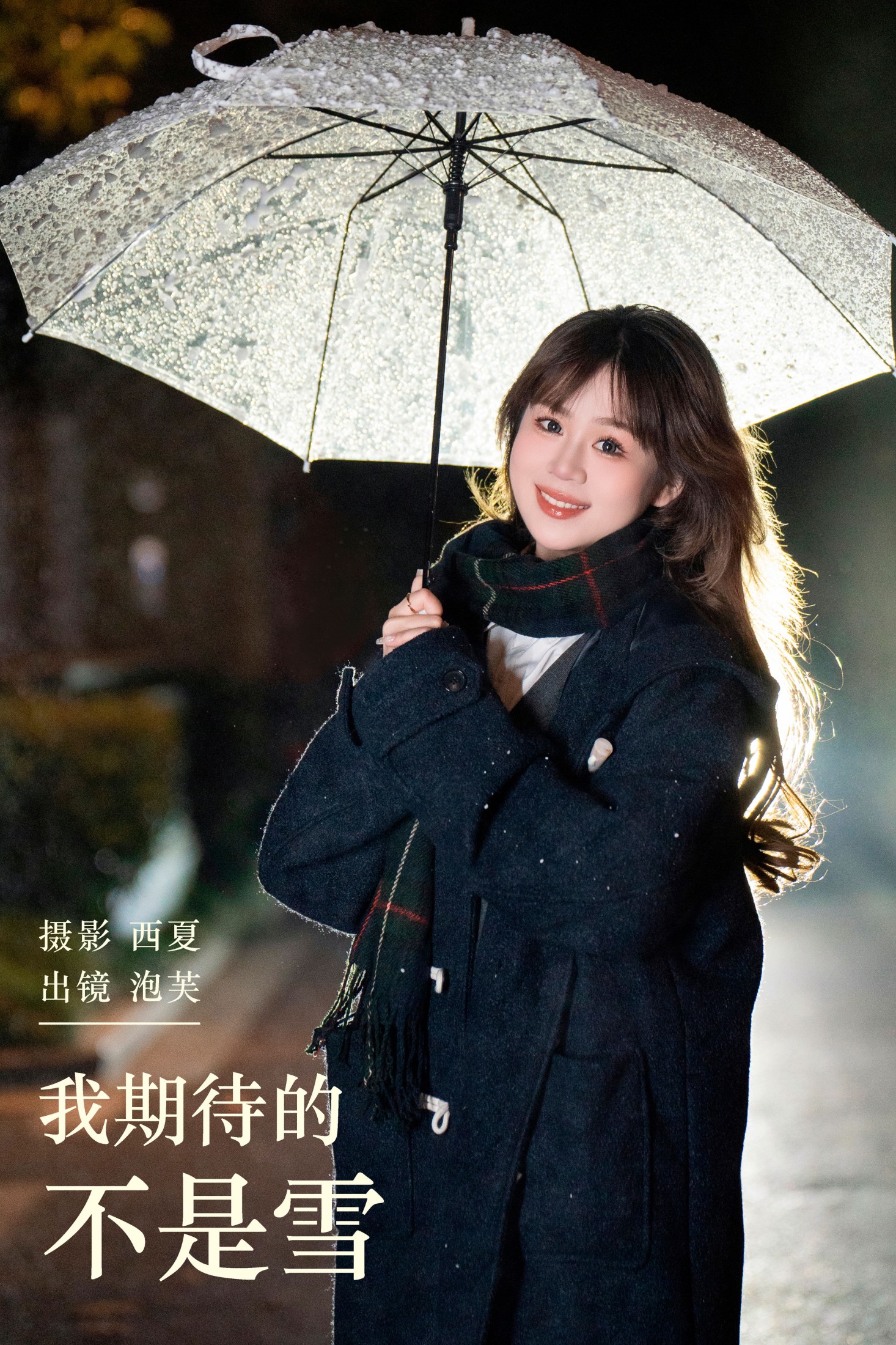 我期待的不是雪
