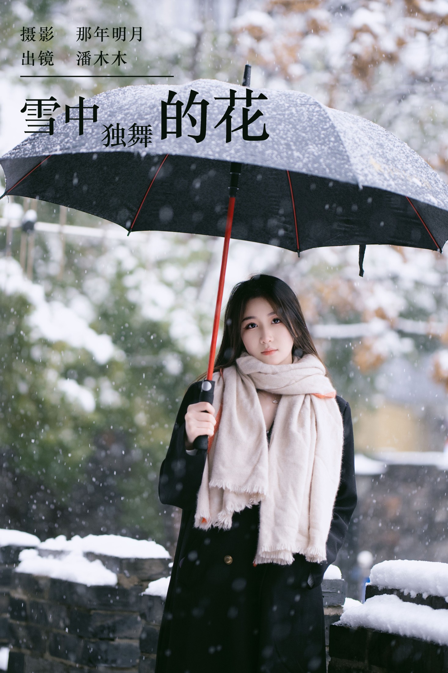 雪中独舞的花