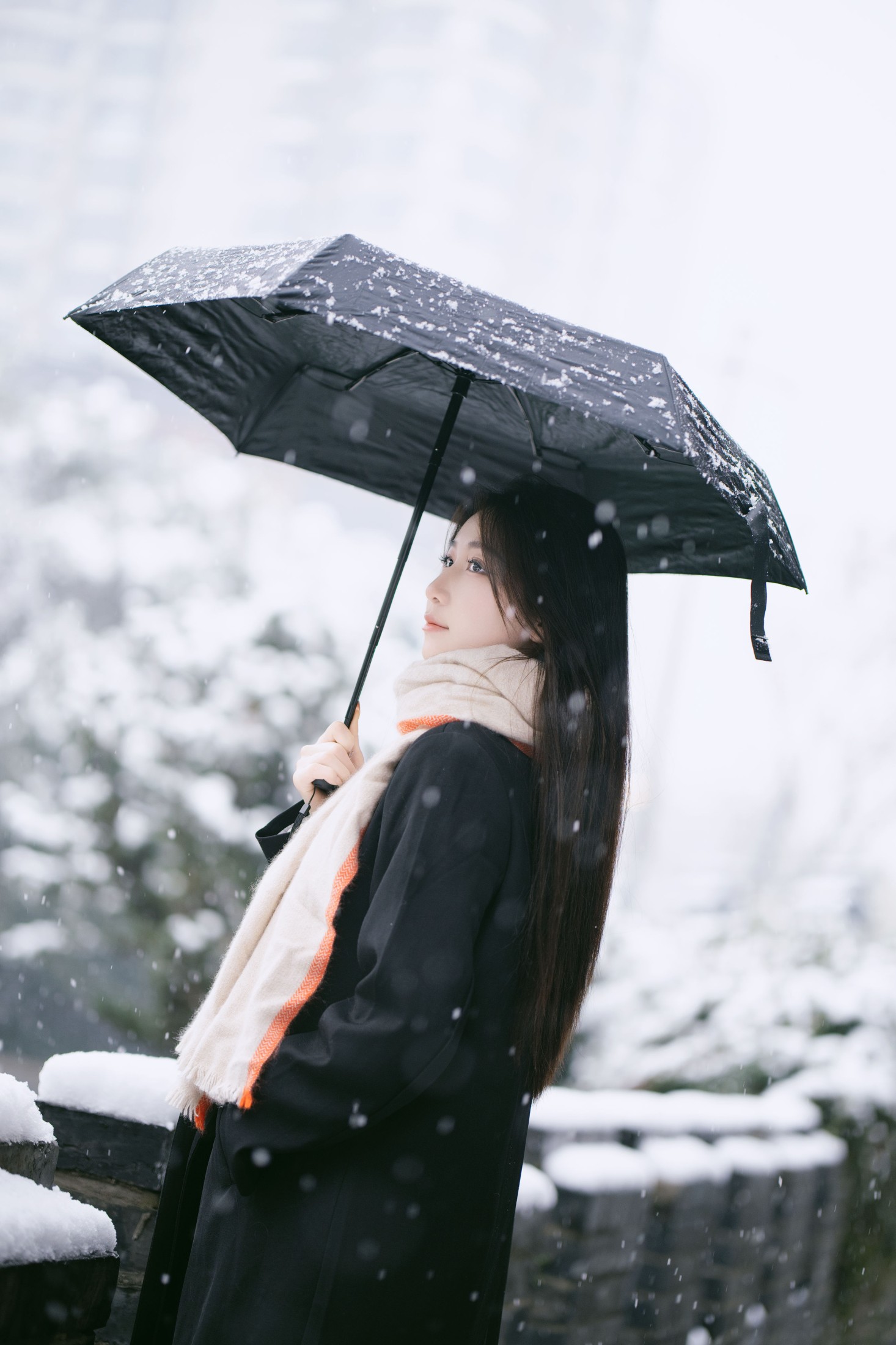 潘木木 – 《雪中独舞的花》[28P]