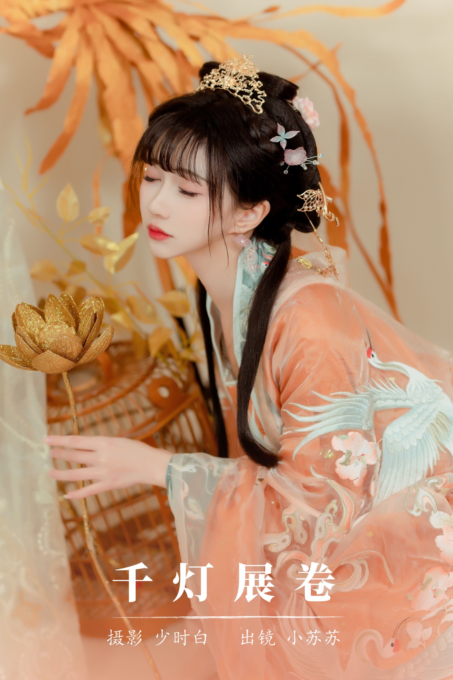 千灯展卷
