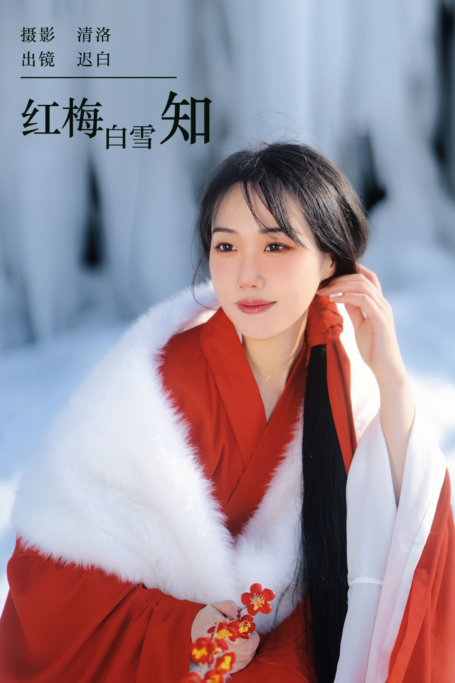 红梅白雪知