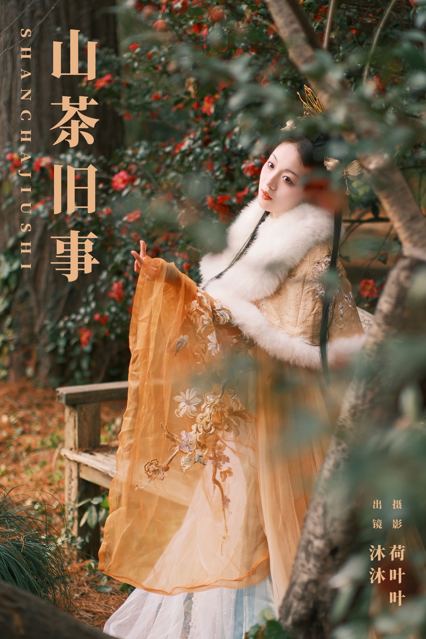 山茶旧事