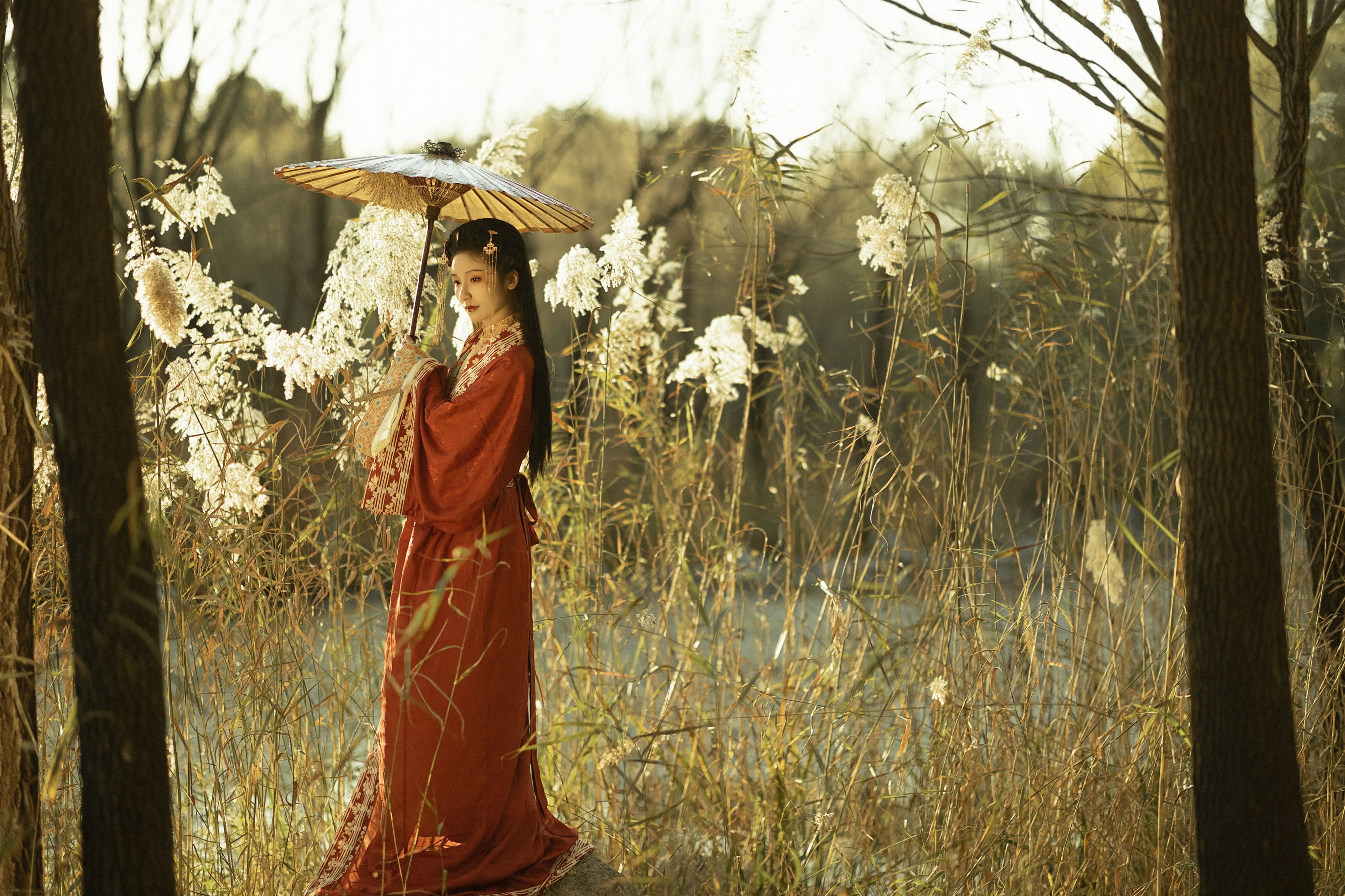 之于浅灯 – 《蒹葭苍苍》[20P]
