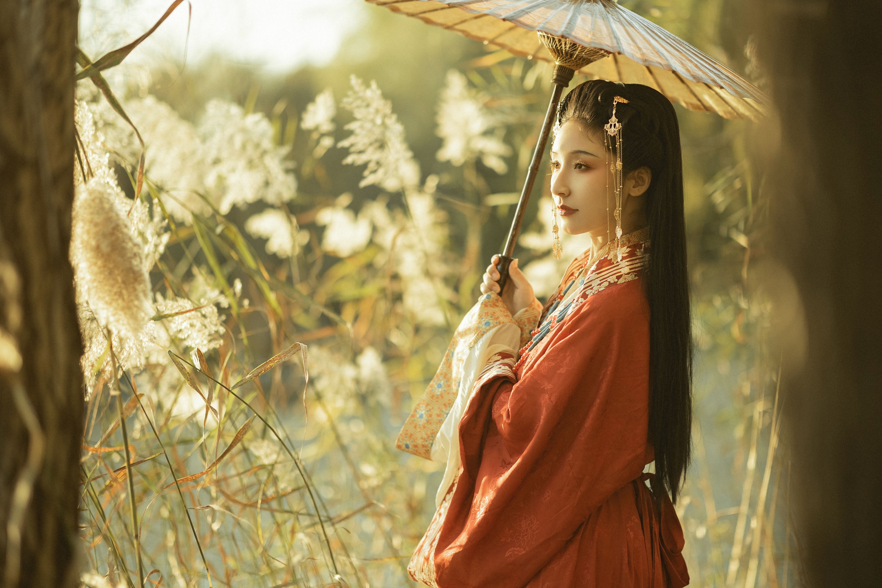 之于浅灯 – 《蒹葭苍苍》[20P]