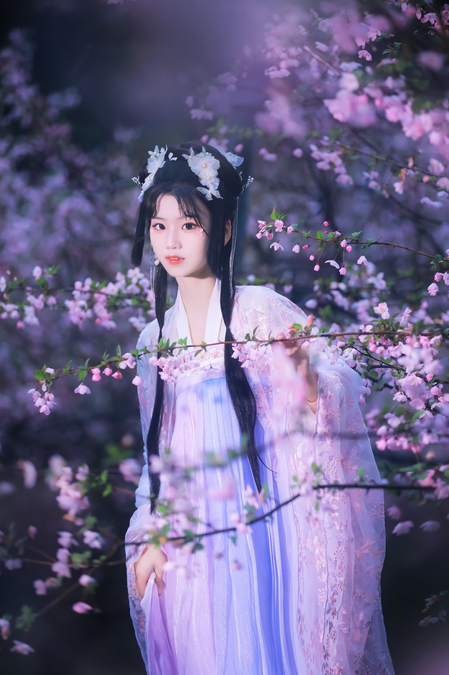 周周Ay – 《海棠依旧》[26P]