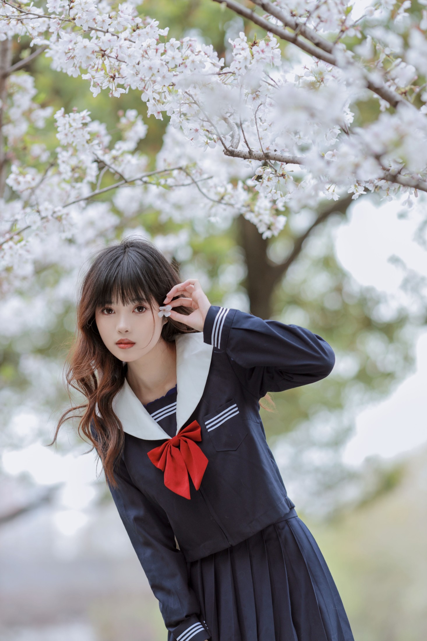 小薇人儿 – 《樱花树下》[28P]